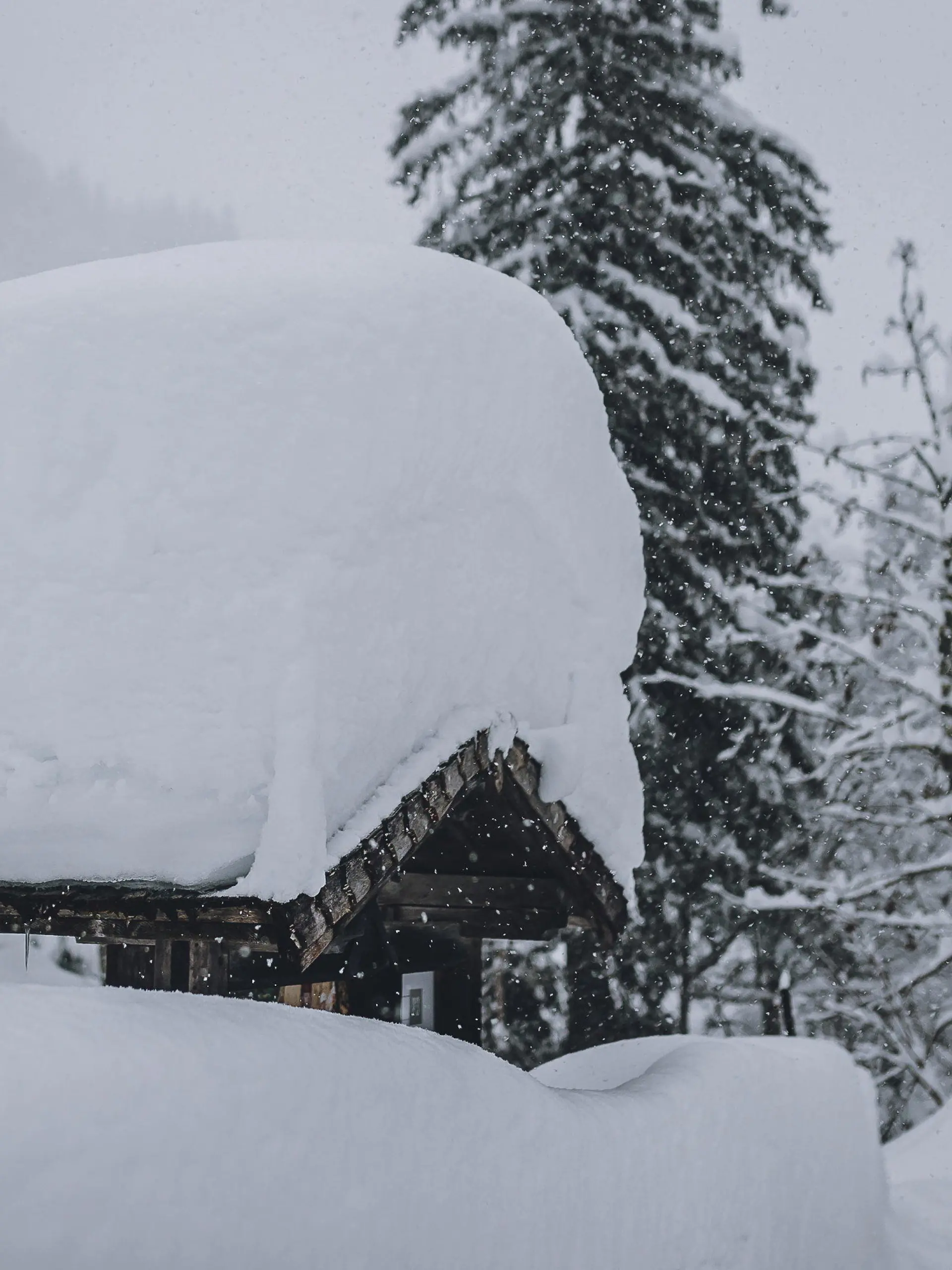 22.01.2022, Österreich, Leogang: Große Schneemengen liegen auf einem Dach. Foto: Expa/Stefanie Oberhauser/APA/dpa +++ dpa-Bildfunk +++