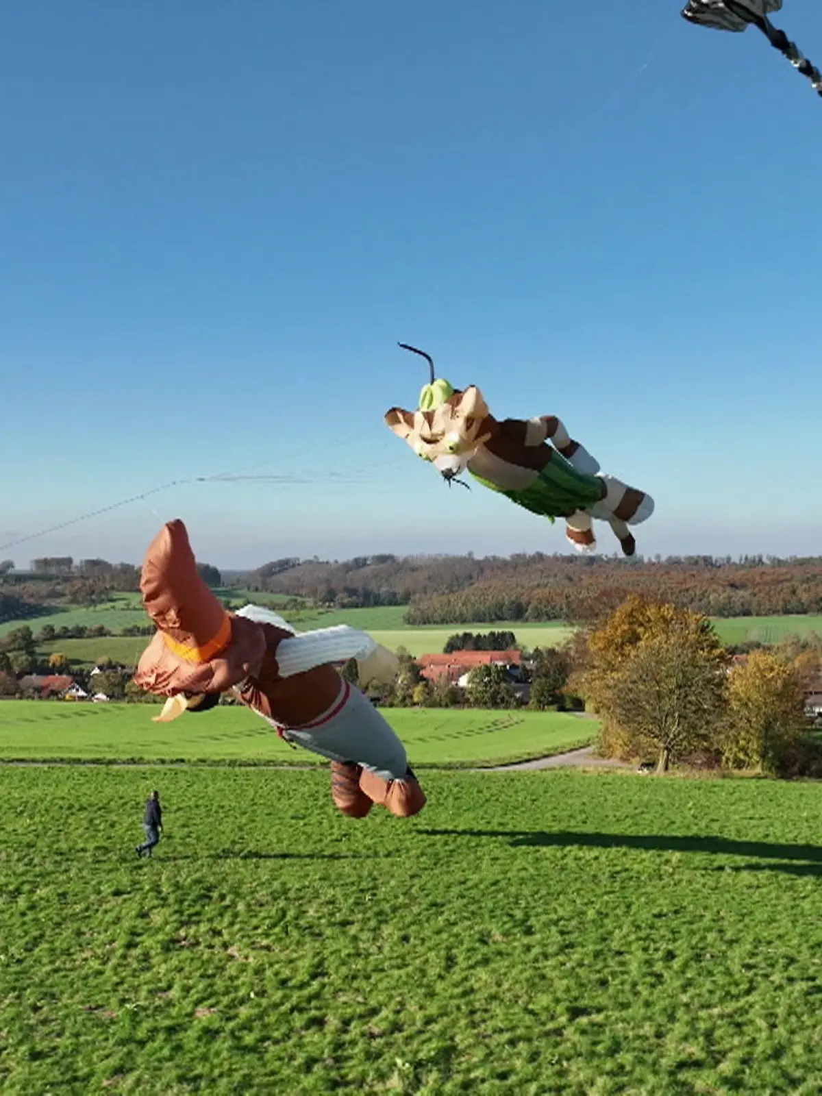 Bild zu: "XXL-Drachen schmücken den Himmel "