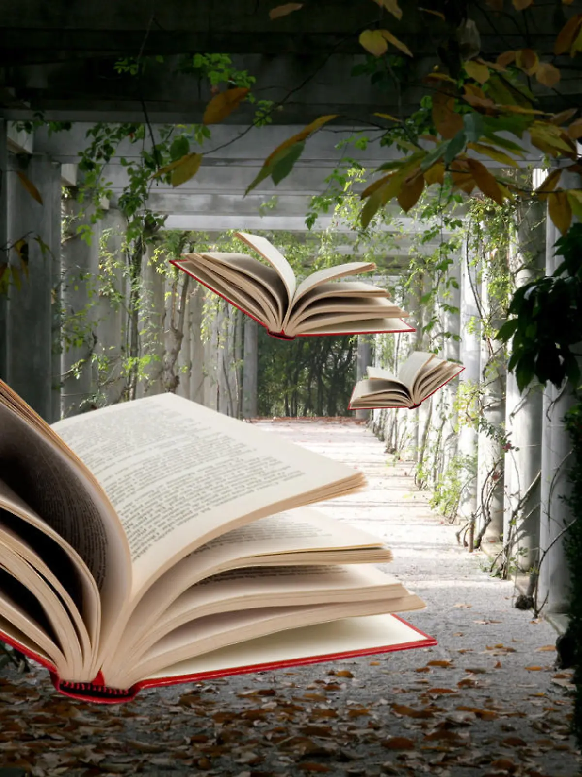 Books Flying Through Nature