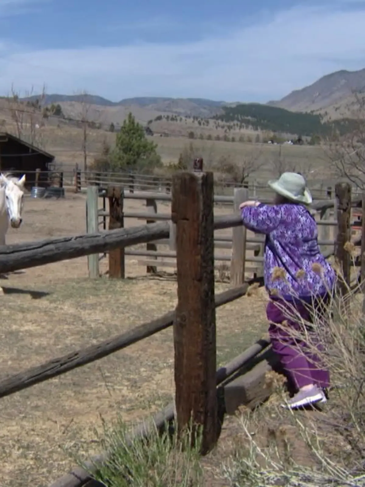 In Colorado grassiert eine hochansteckende und tödliche Krankheit unter Pferden. In Cañon City starben bereits 67 Tiere. Experten und Behörden sind noch auf der Suche nach den Gründen.