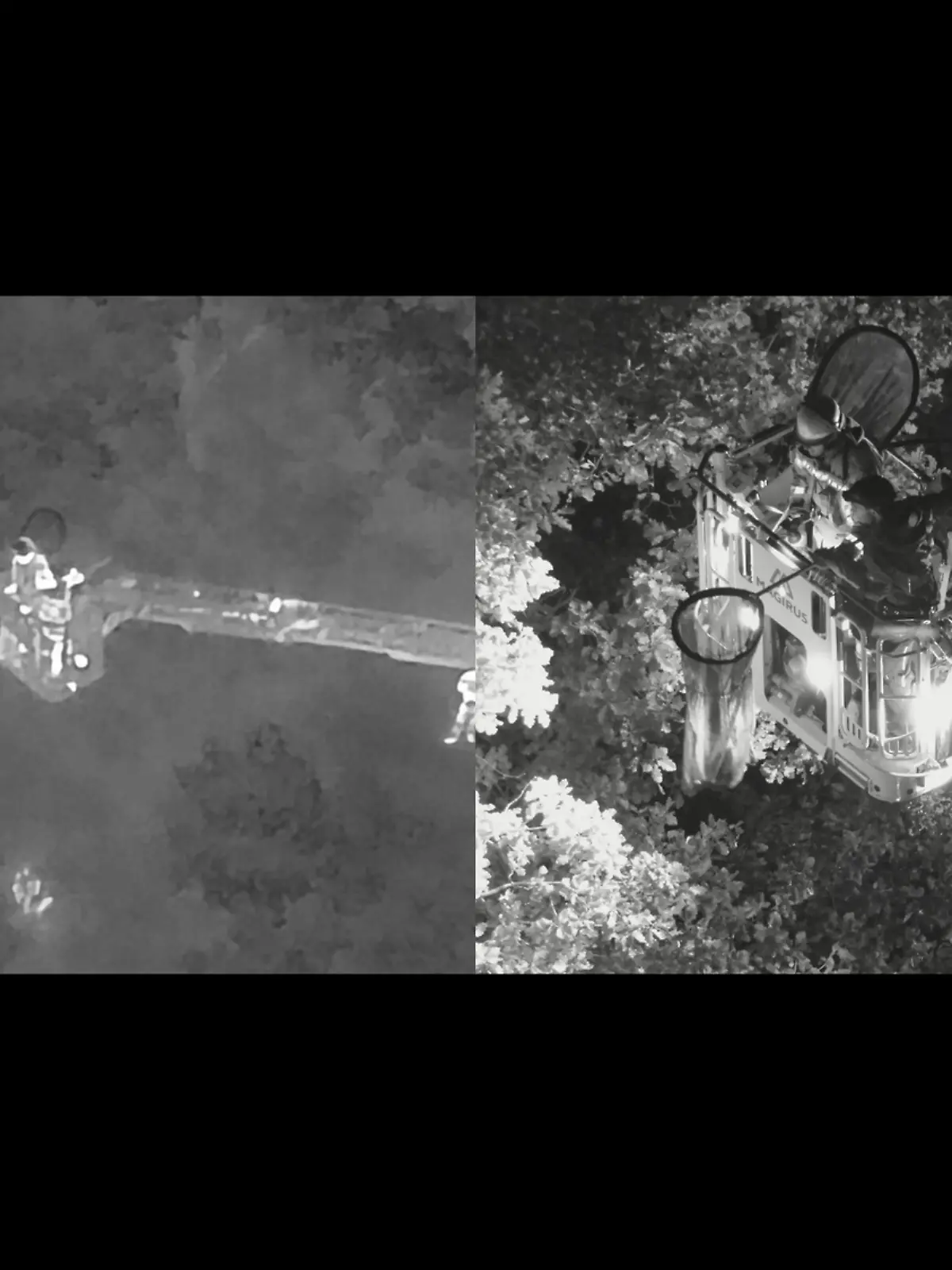 Am Montagabend ruft der Klever Tiergarten die Feuerwehr an: Denn Rote Panda-Dame Kamala ist ausgebüxt. Mitarbeiter haben das Tier mit dem runden Kopf, der kleinen Schnauze und den spitzen Ohren außerhalb der Anlage gesehen. „Der Anruf kam abends um Viertel vor sieben: Ob man auch in der Lage sei, mit der Drohne im Dunkeln am Tiergarten nach einem Roten Panda zu suchen“, so die Feuerwehr in Kleve. „Kein Problem“, meint Brandinspektor Florian Pose. „Bei Übungen sind wir schon öfter auf Kaninchen, Hasen, Füchse und Rehe gestoßen. Warum sollte es beim Roten Panda nicht auch funktionieren?“ 