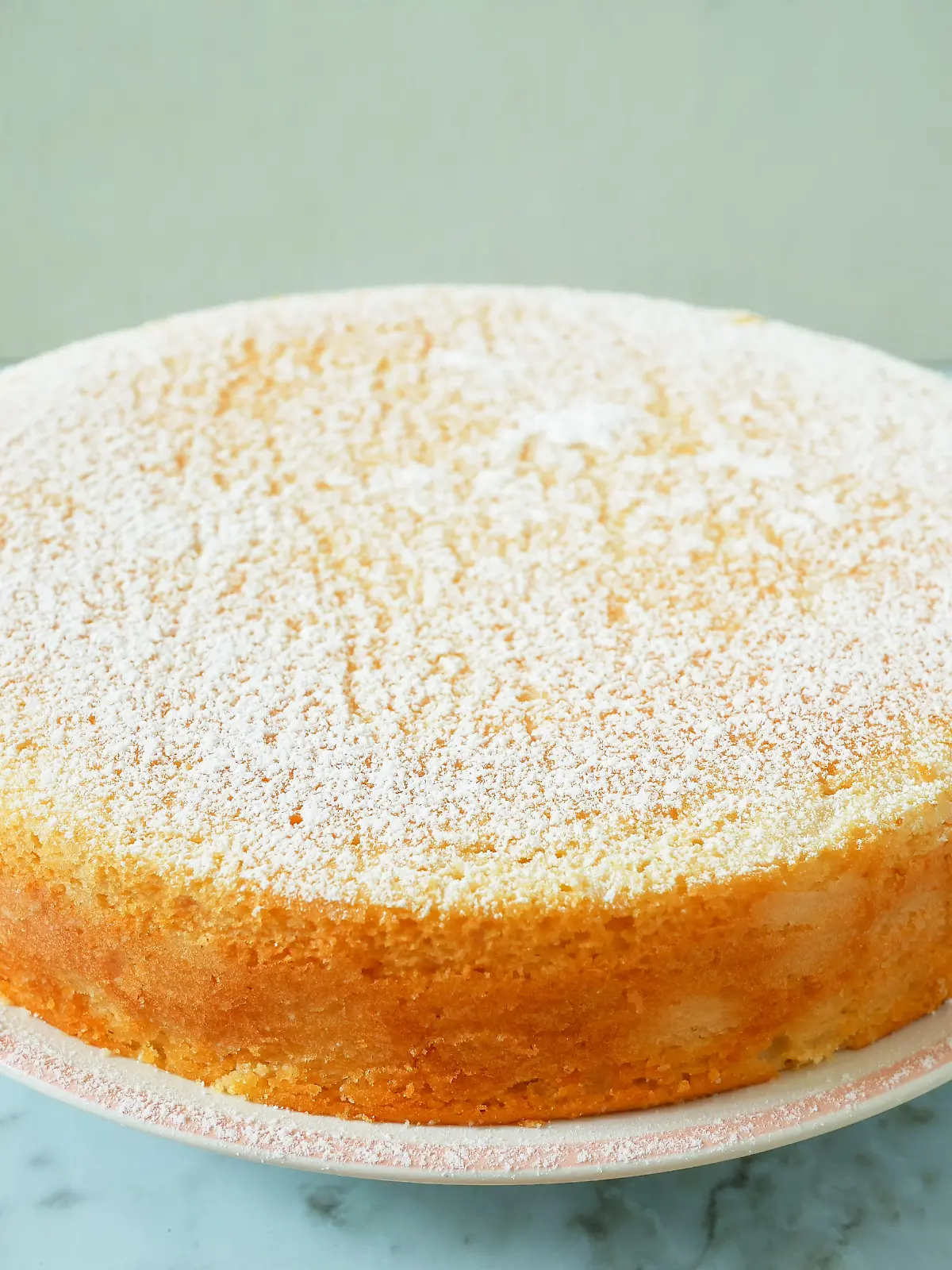 Homemade yogurt cake with icing sugar. Close up.