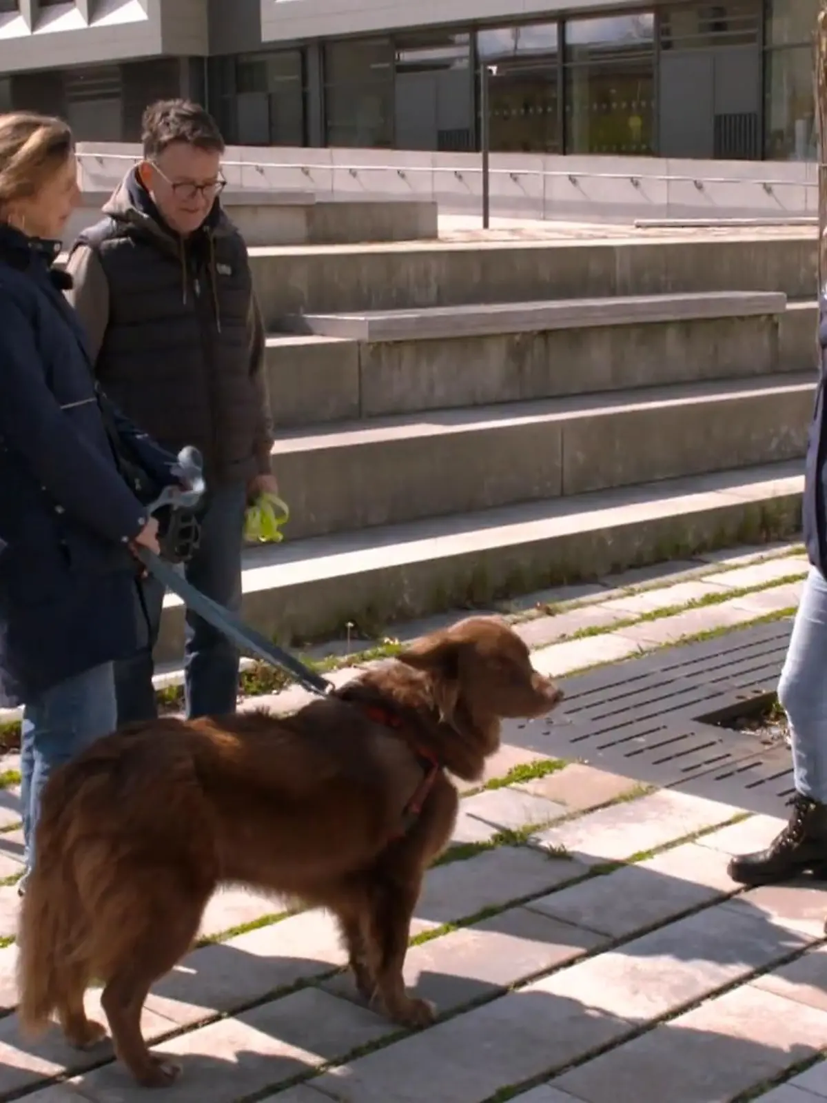 Bild zu: "Läuft Balu etwa doch Treppen?"