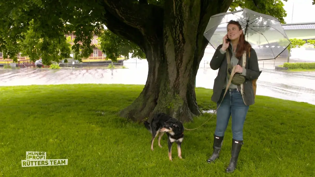 Training über das Telefon Ratschläge von Ellen