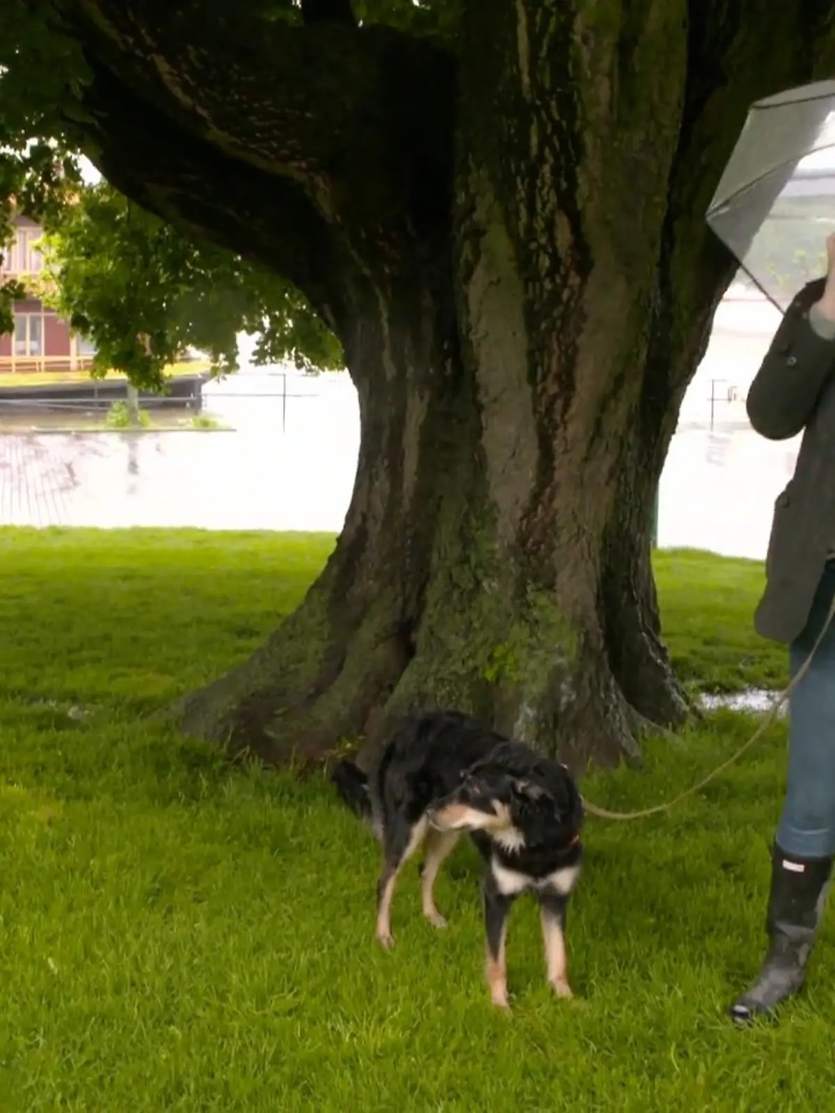 Bild zu: "Training über das Telefon"