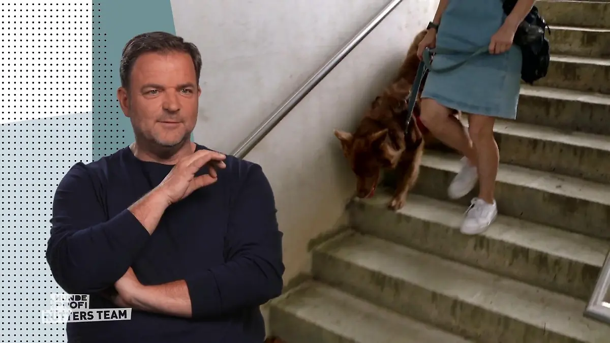 Balu läuft inzwischen Treppen Sehr selbstbewusst