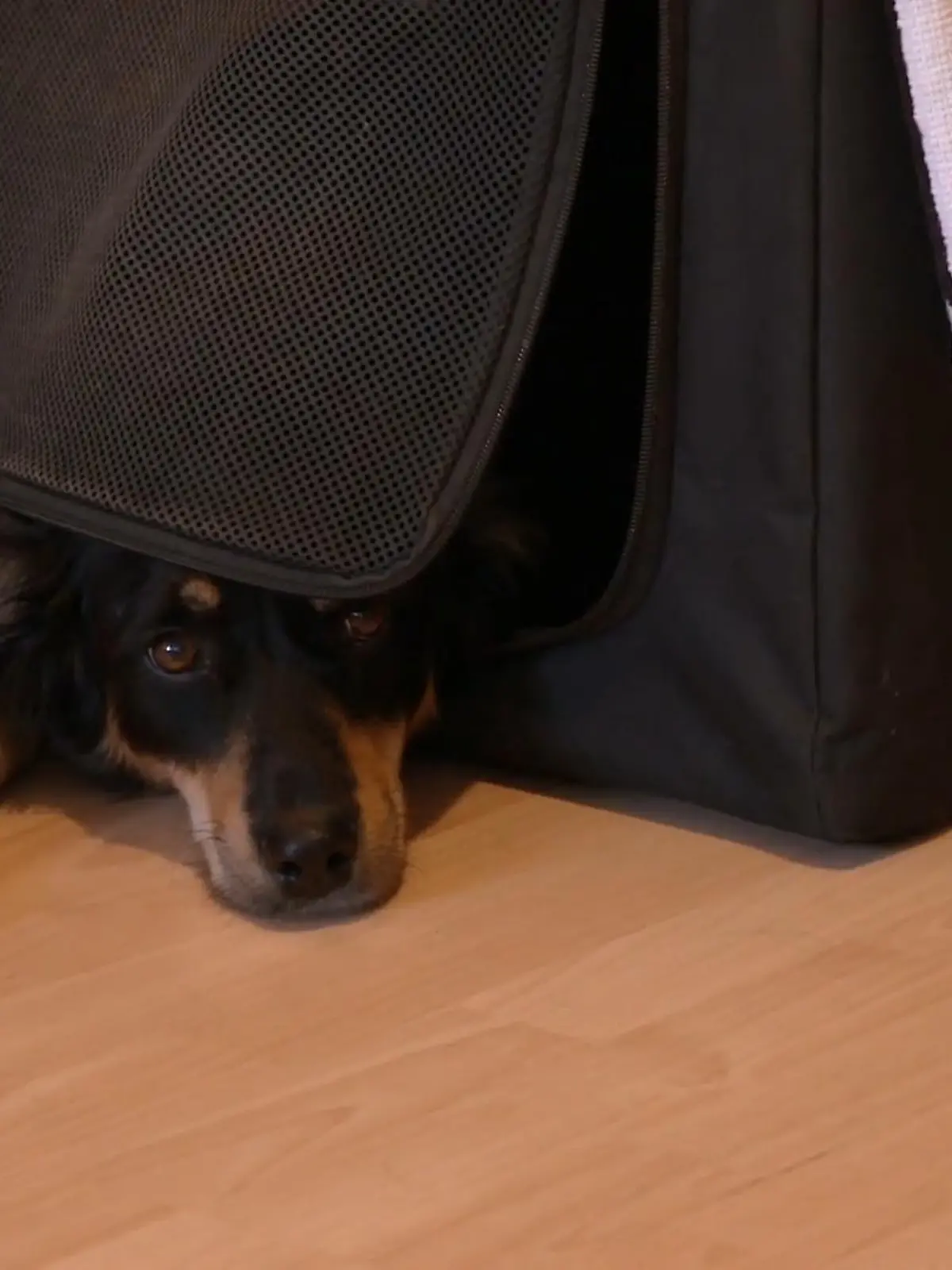 Bild zu: "Ein großer Unterschied zu früher"