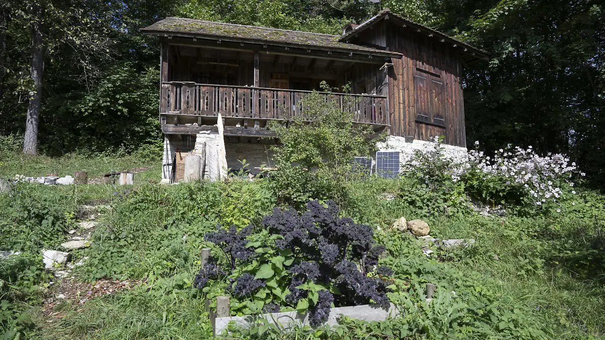 Blick auf die amtlich versiegelte Waldhütte, die im Zusammenhang mit dem ersten Einsatz der Suizidkapsel «Sarco» der Sterbehilfeorganisation «The Last Resort» steht.