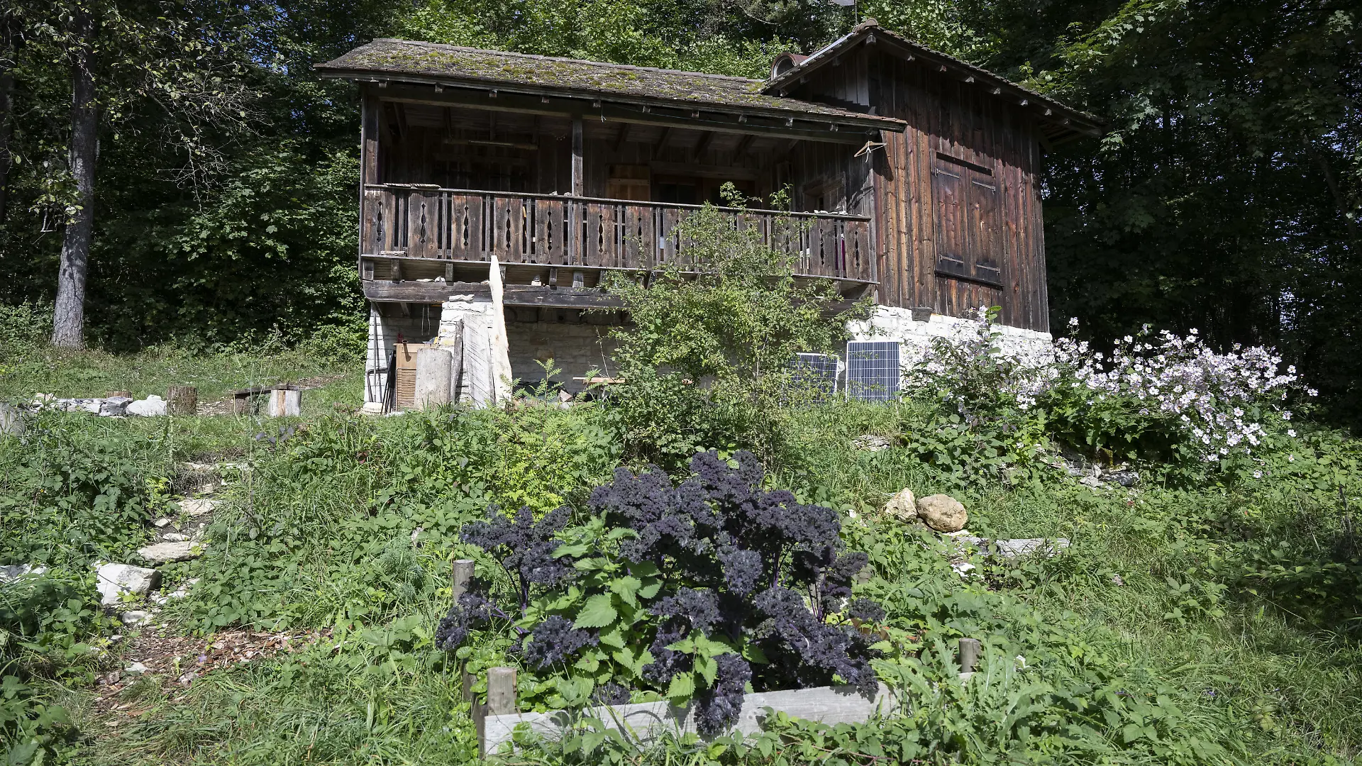 Blick auf die amtlich versiegelte Waldhütte, die im Zusammenhang mit dem ersten Einsatz der Suizidkapsel «Sarco» der Sterbehilfeorganisation «The Last Resort» steht.