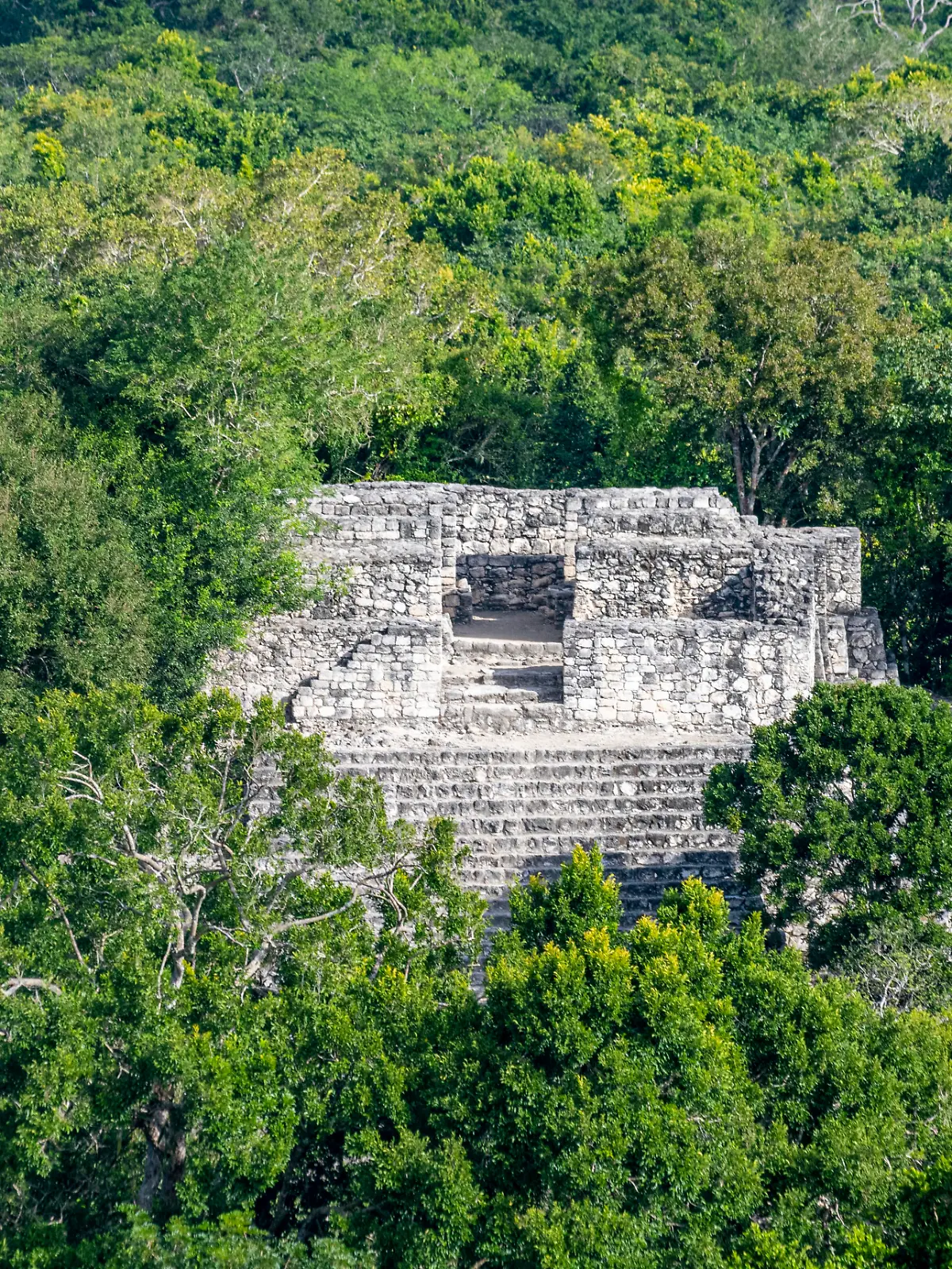 Bild zu: "Student entdeckt historische Sensation - auf Seite 16 bei Google"