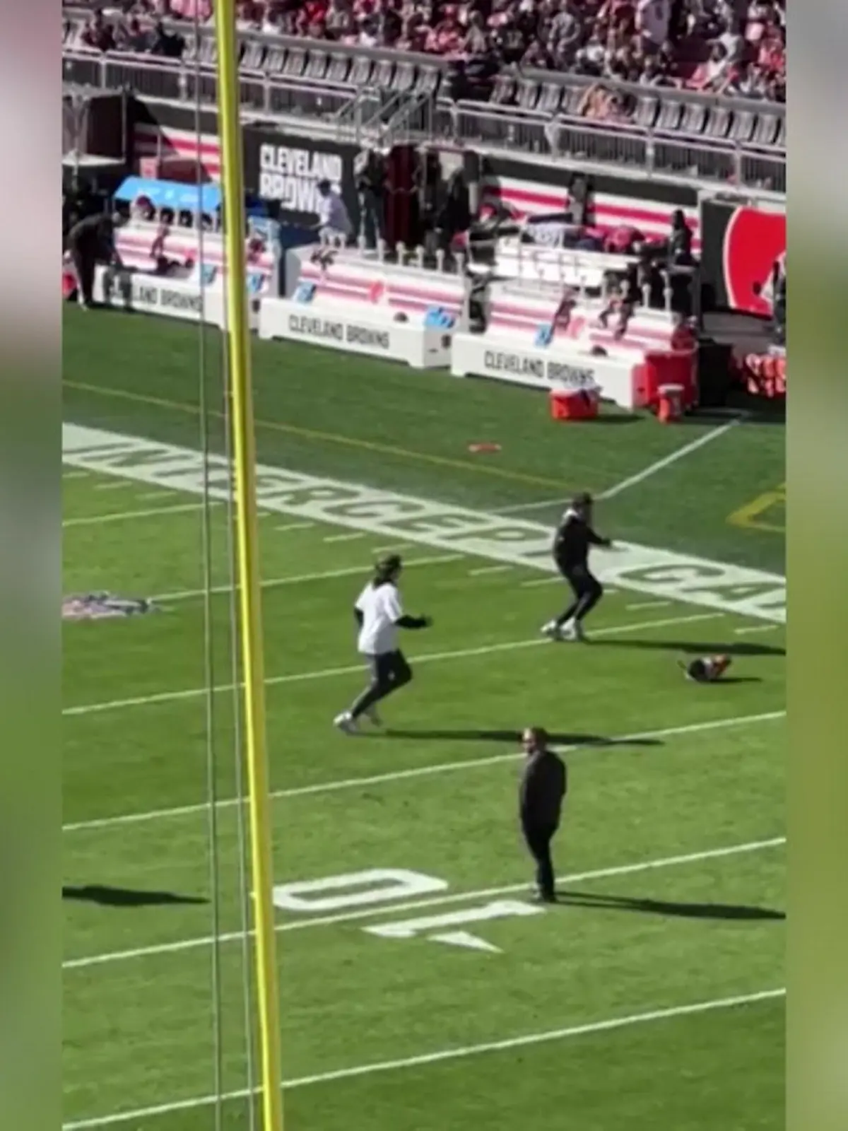 Bild zu: "Dackel stürmt Football-Feld der Browns!"