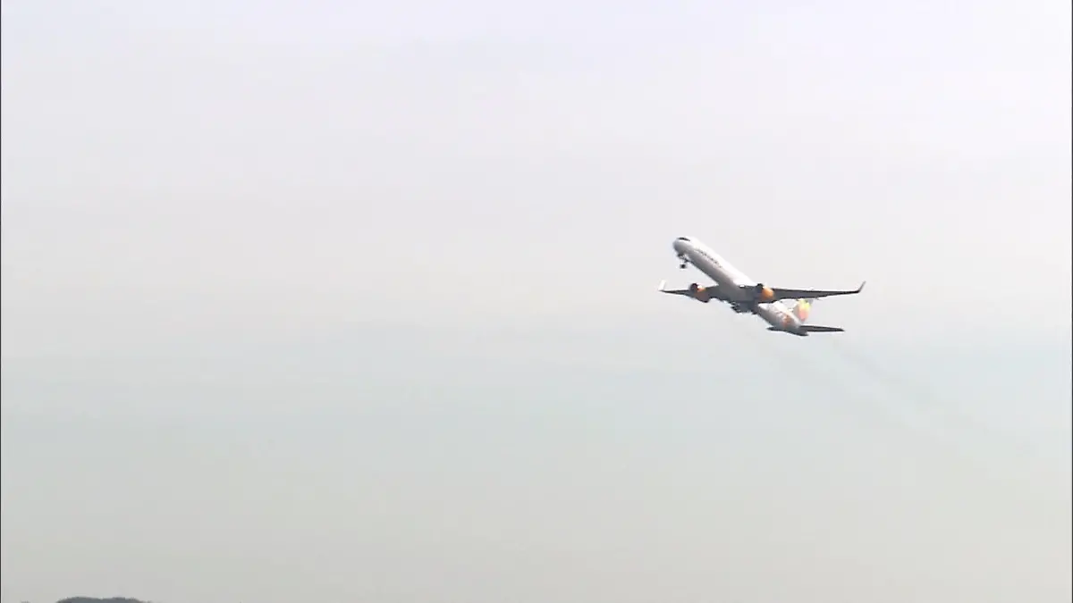 CO2-Emissionen einsparen beim Fliegen Wie eine Haifischhaut