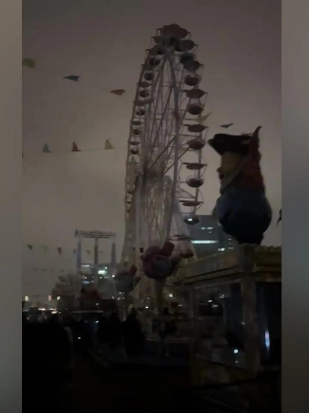 Bild zu: "Kirmesbesucher sitzen plötzlich in 45 Meter hoher Achterbahn fest"