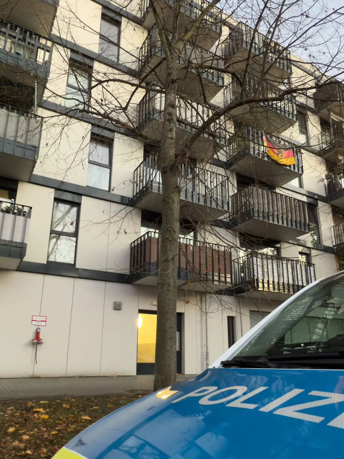 Bild zu: "Lebensgefährte der Frau gefasst – ist er ein dreifacher Killer?"