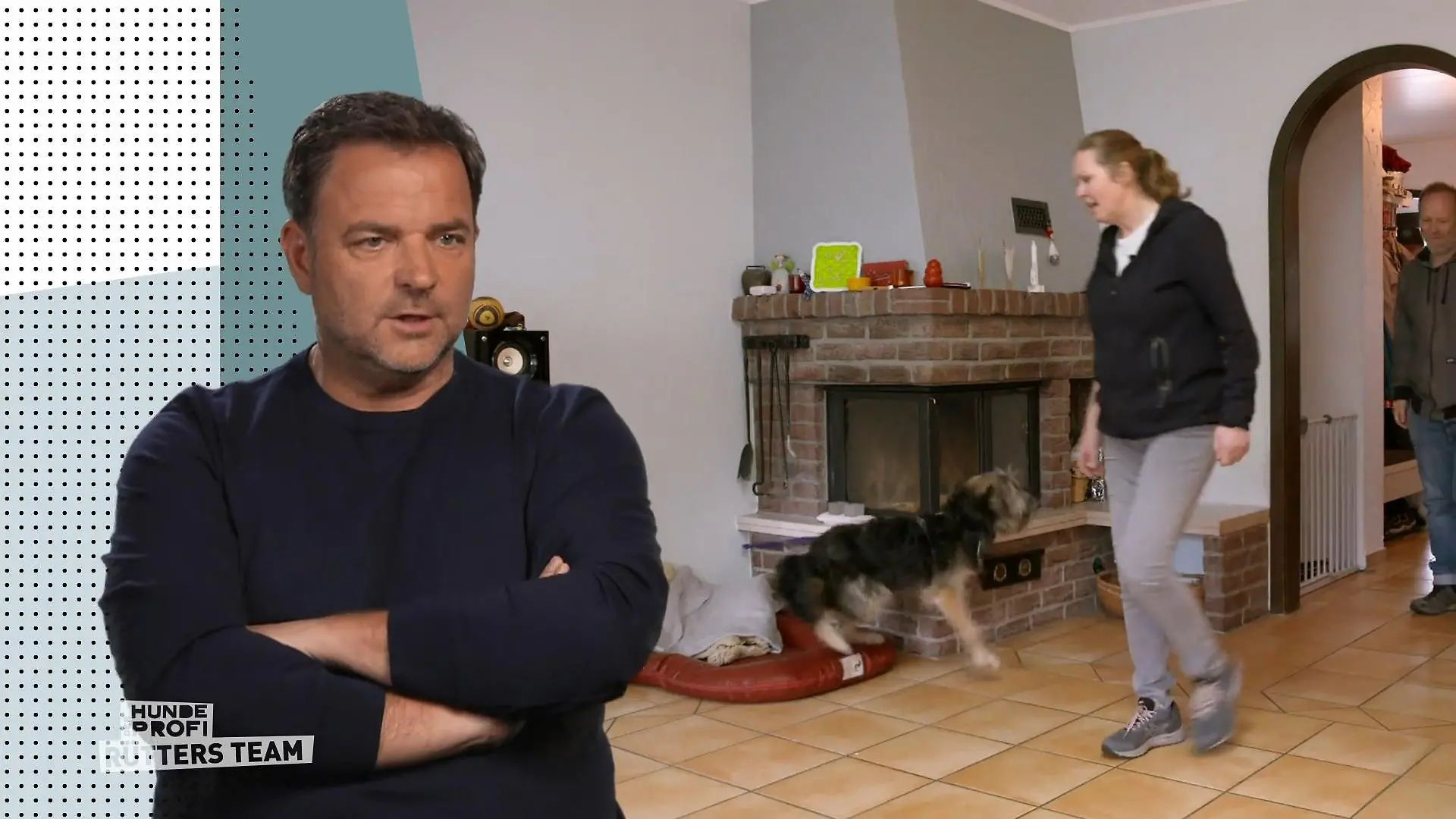 Mit Besuchern hat Luke ein großes Problem Hütehund-Mix Luke