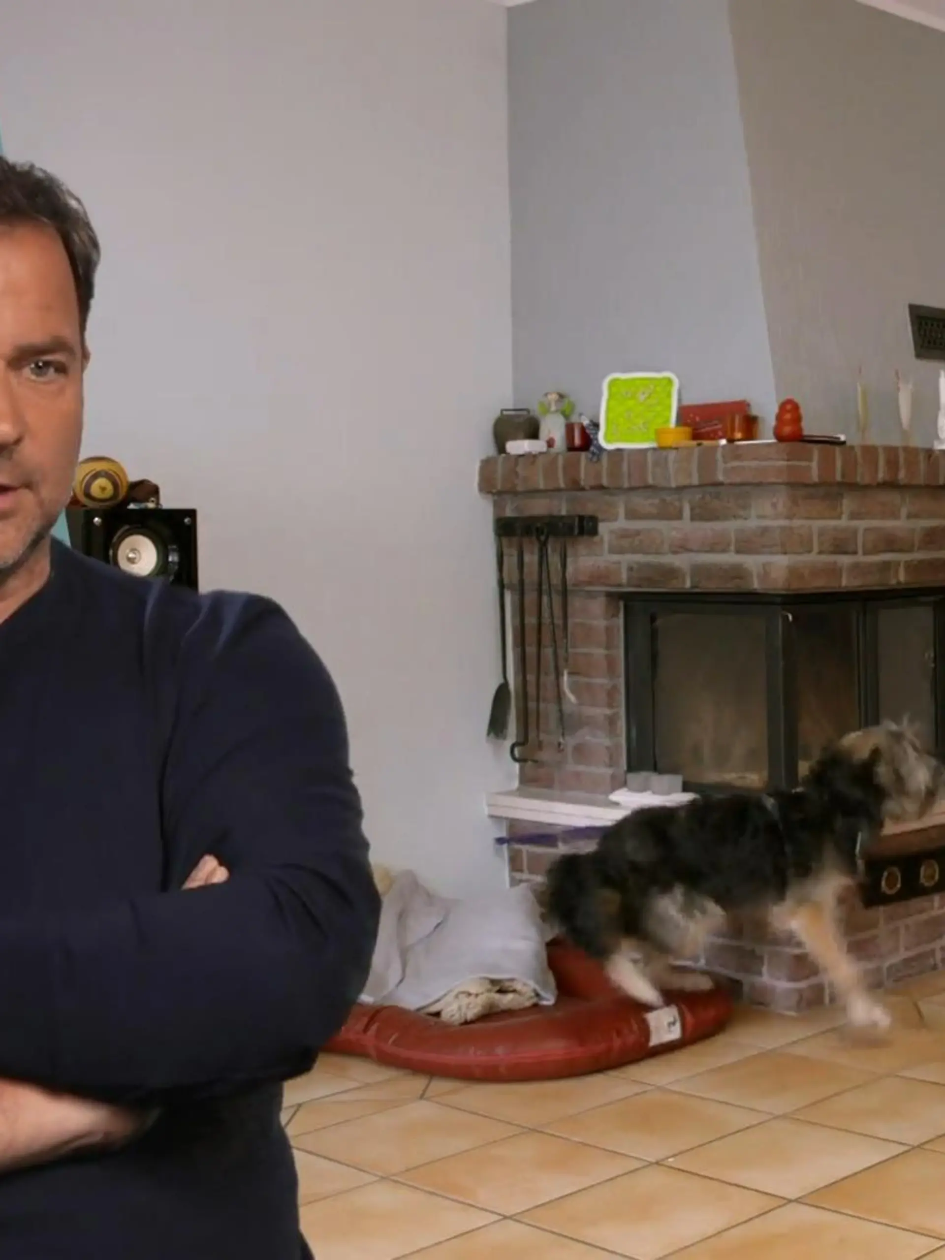 Bild zu: "Hütehund Luke stellt seine Familie vor neue Herausforderungen"