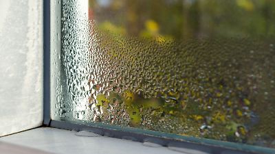 Kondenswasser am Fenster vermeiden: Was hilft wirklich? Tipps bei zu hoher Luftfeuchtigkeit!