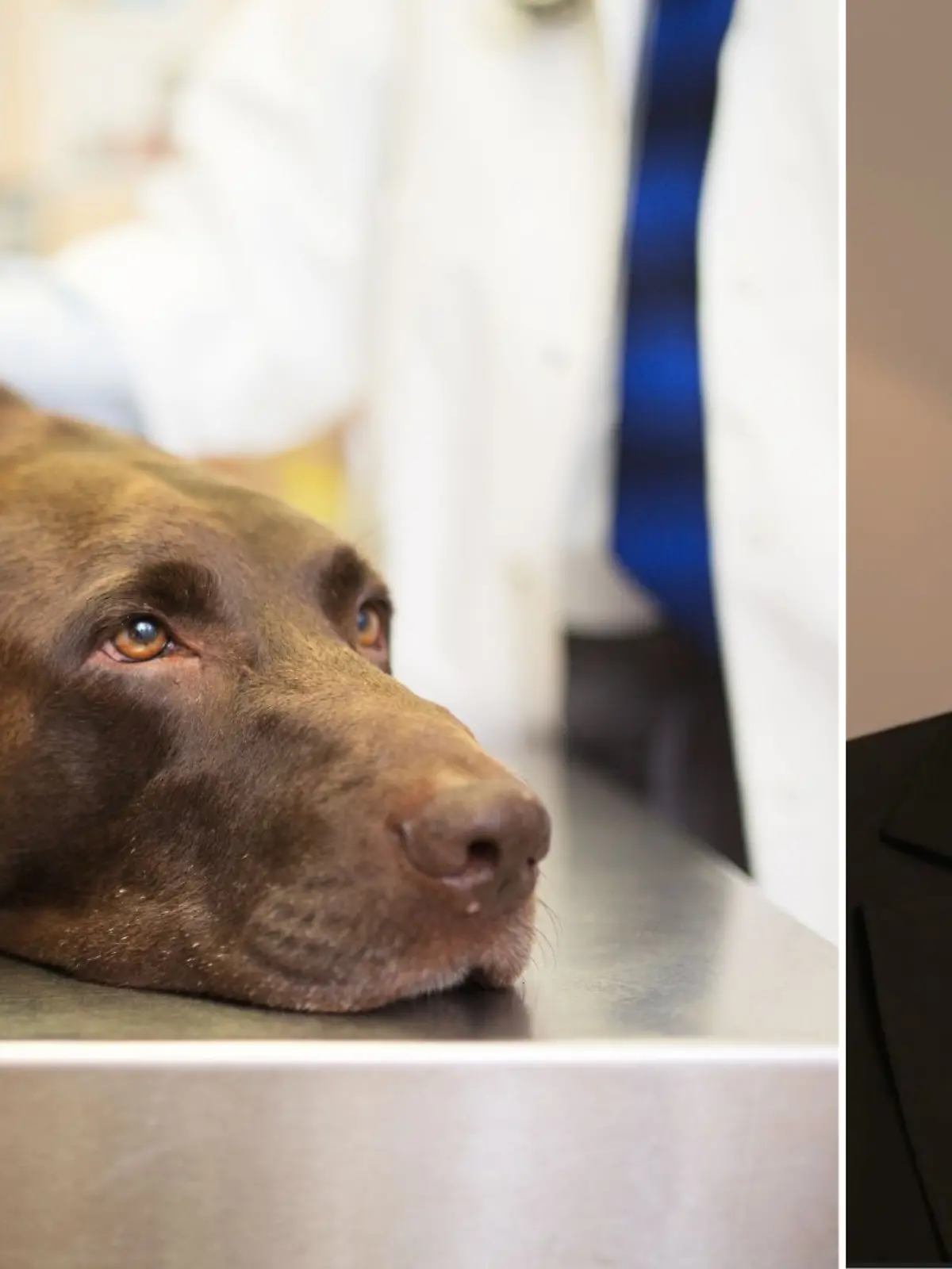 Ein kranker Hund und Doc Polly