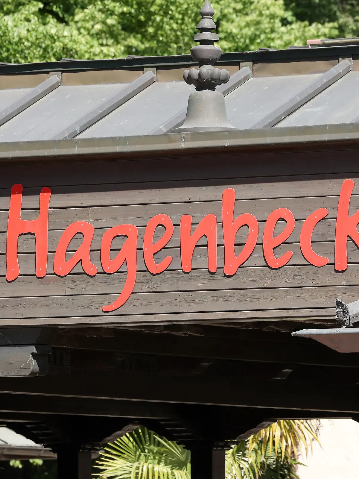 10.06.2023, Hamburg: "Hagenbeck" steht auf einem Schild am Eingangsbereich des Tierpark Hagenbeck. Die Hamburger Feuerwehr hat am Samstag der 57-jährigen Elefantendame Shandra im Tierpark Hagenbeck beim Aufstehen helfen müssen. Die Tierärztin vermutet, dass die Elefantenkuh bei den sommerlichen Temperaturen zu wenig getrunken und Kreislaufprobleme hatte. (zu dpa Feuerwehr muss Elefantendame beim Aufstehen helfen) Foto: Bodo Marks/dpa +++ dpa-Bildfunk +++