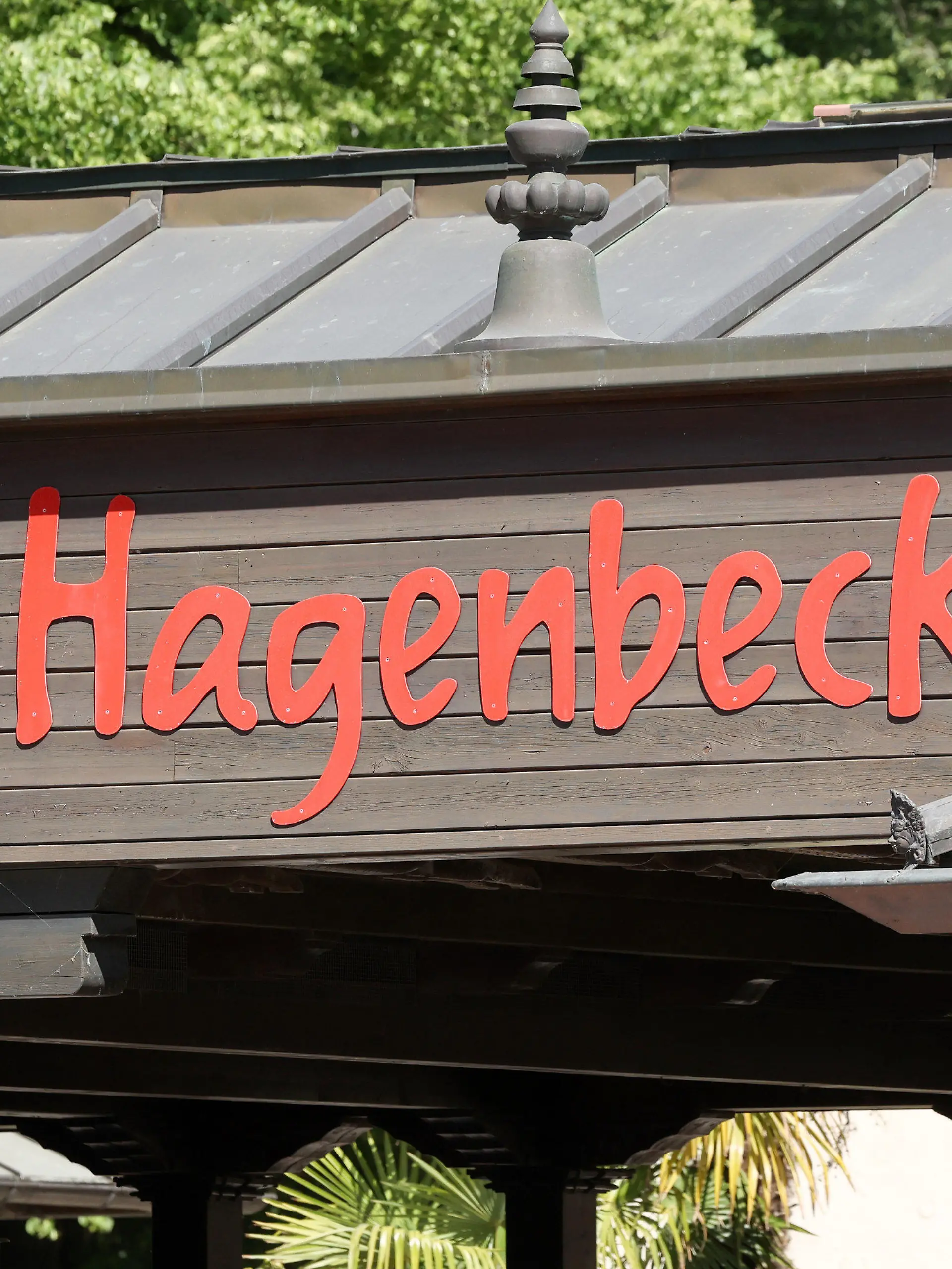 10.06.2023, Hamburg: "Hagenbeck" steht auf einem Schild am Eingangsbereich des Tierpark Hagenbeck. Die Hamburger Feuerwehr hat am Samstag der 57-jährigen Elefantendame Shandra im Tierpark Hagenbeck beim Aufstehen helfen müssen. Die Tierärztin vermutet, dass die Elefantenkuh bei den sommerlichen Temperaturen zu wenig getrunken und Kreislaufprobleme hatte. (zu dpa Feuerwehr muss Elefantendame beim Aufstehen helfen) Foto: Bodo Marks/dpa +++ dpa-Bildfunk +++