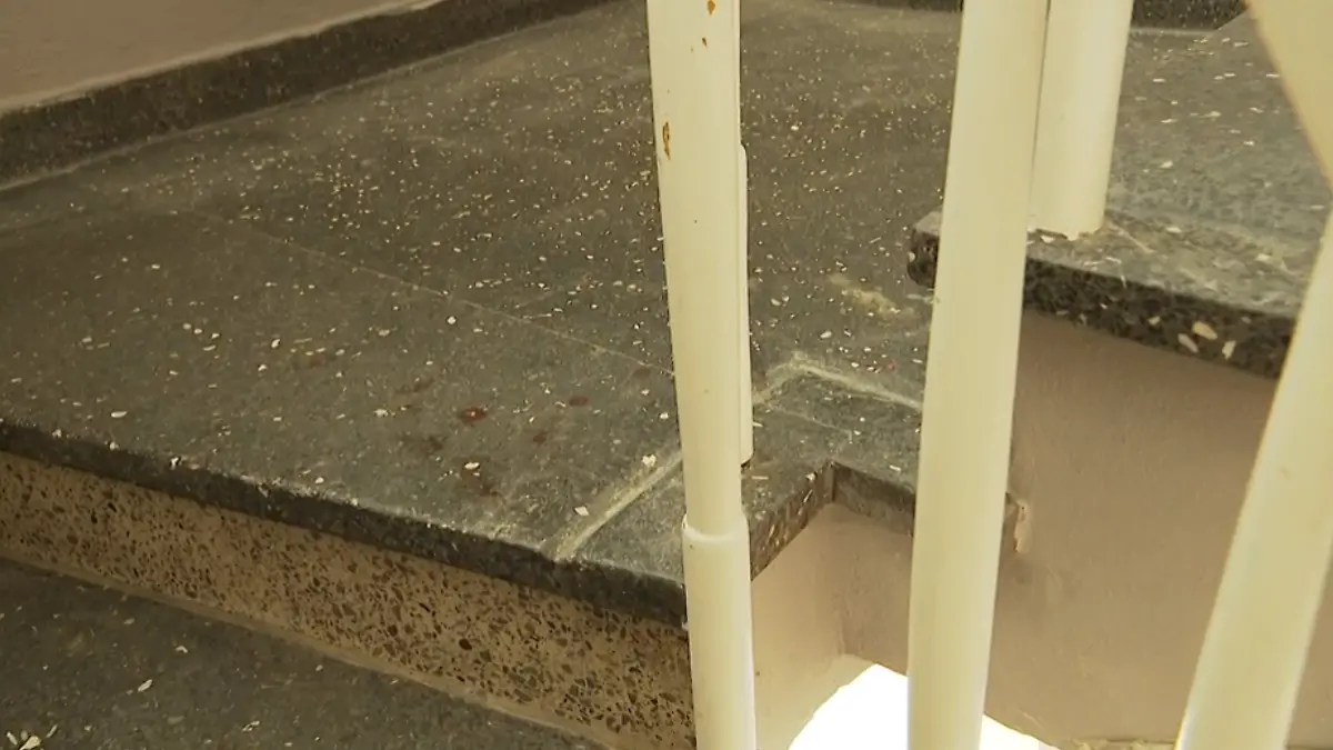 Blutspuren im Hausflur zeugen von der entsetzlichen Tat. 