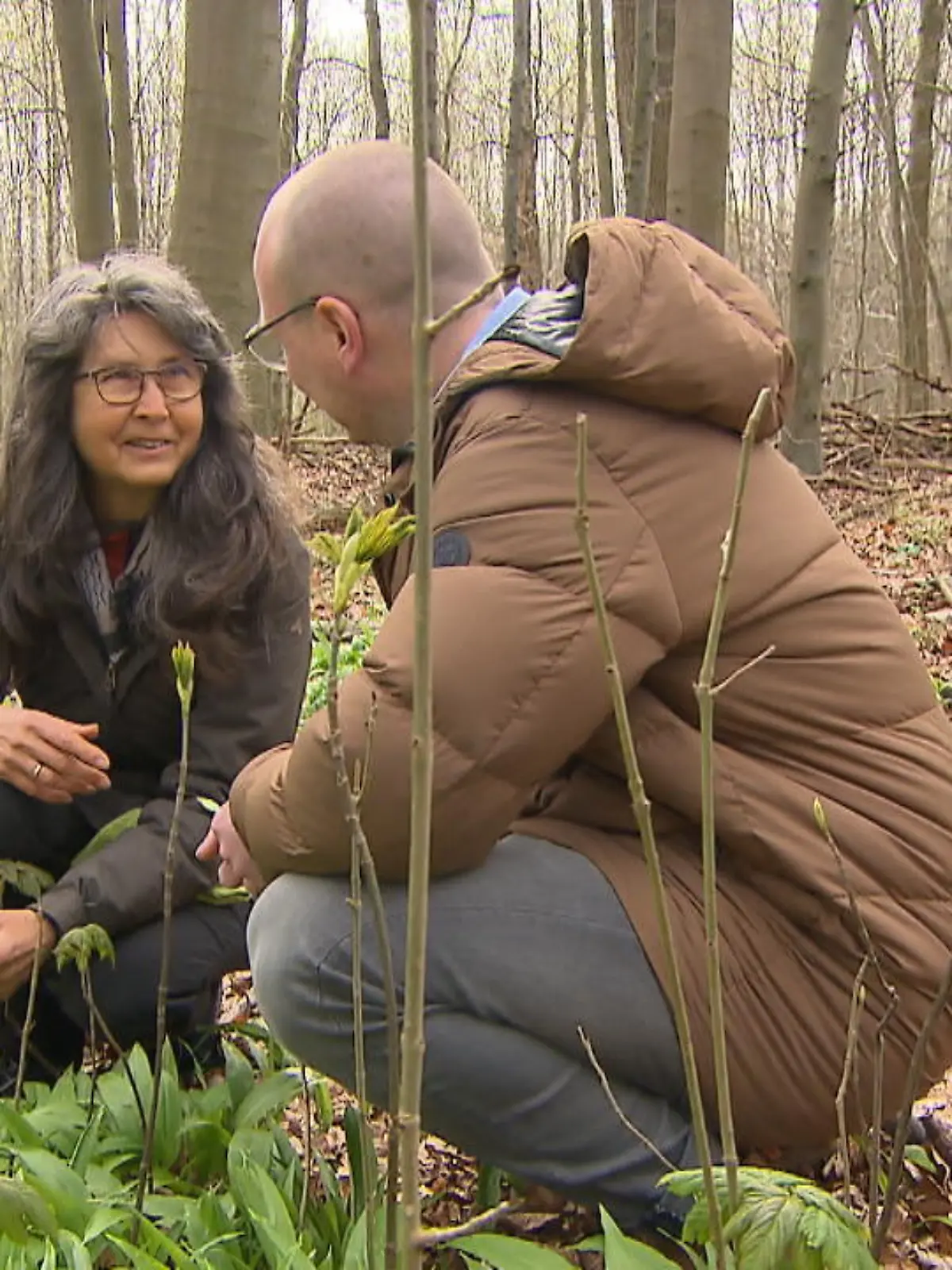 Er ist zurzeit wortwörtlich in aller Munde: Der Bärlauch hat Saison. In Schleswig- Holstein gibt es das Saison-Gewächs kostenlos in der freien Natur - und jetzt im April ist noch die beste Zeit und die letzte Chance, um ihn zu pflücken. Doch Vorsicht: Beim Sammeln besteht gefährliche Verwechslungsgefahr!
Wie Sie den Bärlauch beim Sammeln eindeutig erkennen, sehen Sie im Video.