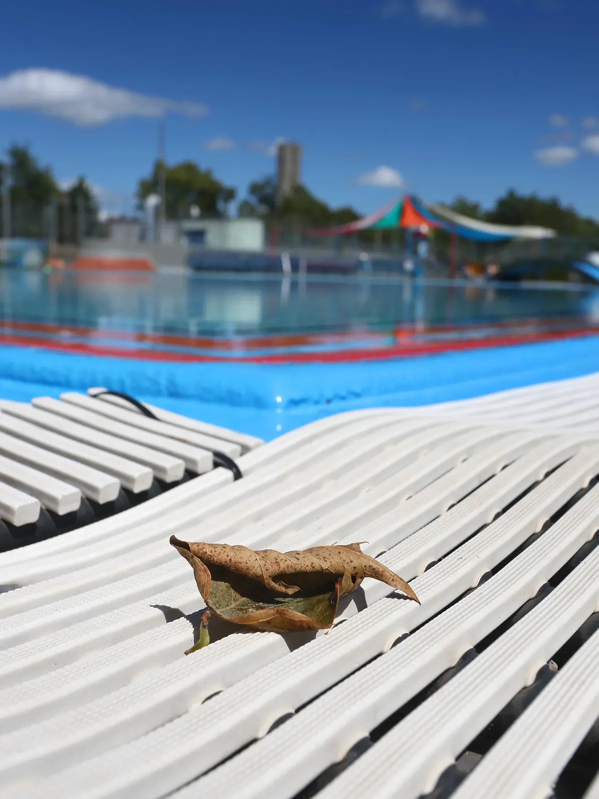 03.08.2023, Bayern, Augsburg: Ein Herbstblatt liegt im Freibad Bärenkeller am Beckenrand des menschenleeren Nichtschwimmerbeckens. Foto: Karl-Josef Hildenbrand/dpa +++ dpa-Bildfunk +++