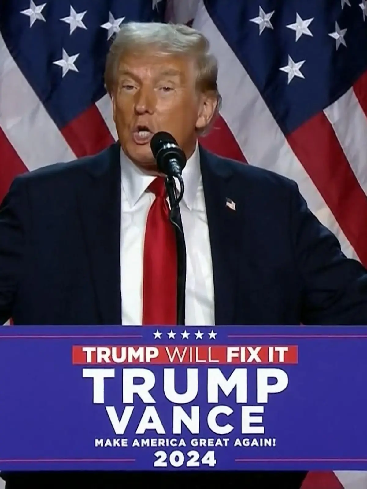 Bild zu: "Trump gewinnt Wahl"