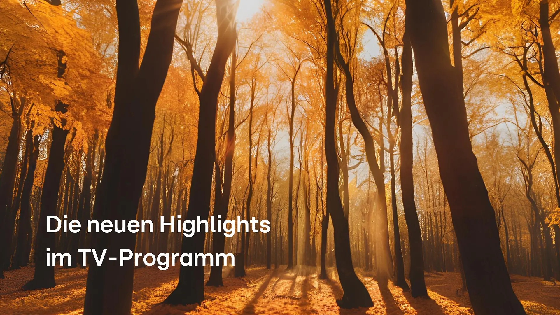 Bild von Die neuen Highlights im TV-Programm
