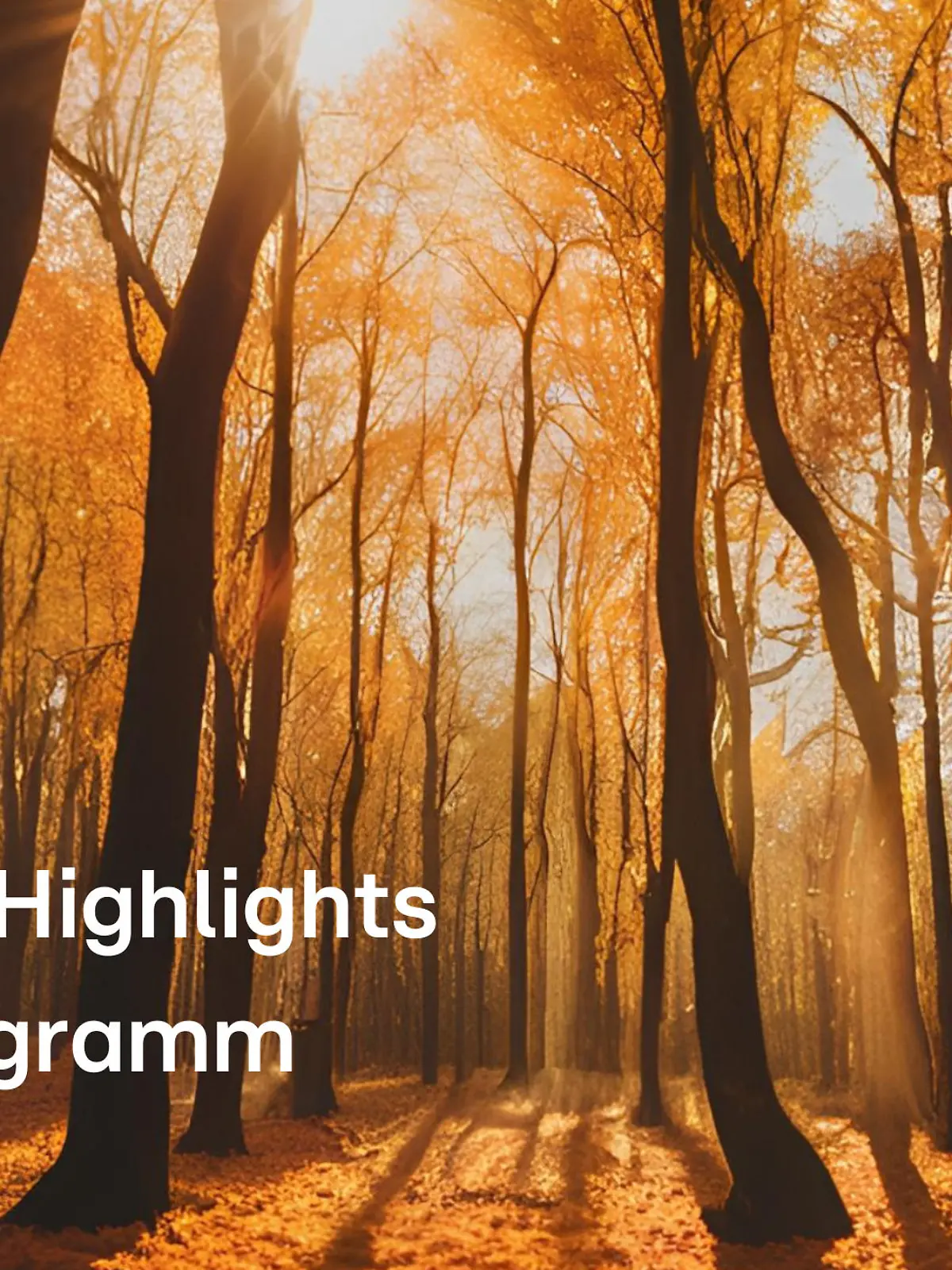 Bild zu: "Die neuen Highlights im TV-Programm"