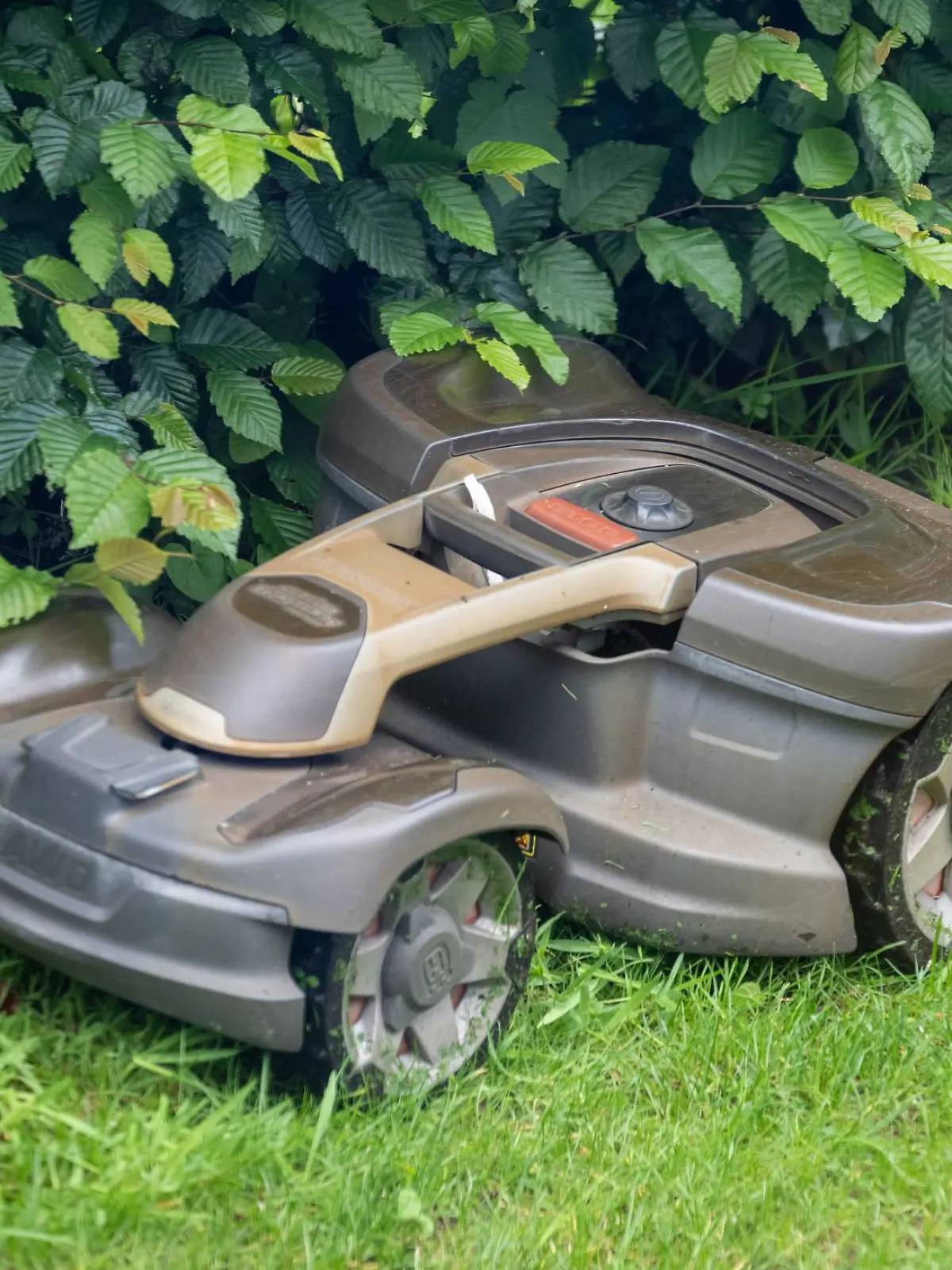 Bild zu: "Stadt verhängt Nachtfahrverbot für Mähroboter"