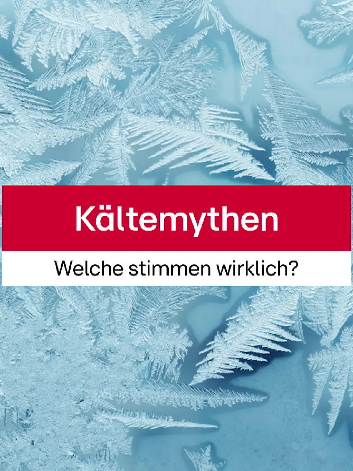 Bild zu: "Welche stimmen und welche nicht?"