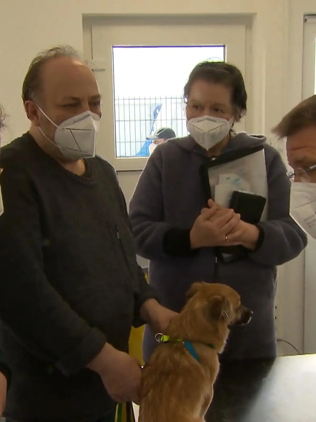 Sie haben alles zurück gelassen, um zu fliehen. Irina und Dimitri kommen aus Odessa in der Ukraine. Sie schaffen es raus aus der umkämpften Stadt. Drei Tage dauert ihre Flucht, bis sie mit dem Bus im hessischen Gießen ankommen. Mit dabei: Hündin Elli. Ihr Familienmitglied im Krieg zurück zulassen – für die beiden undenkbar. Doch in der Erstaufnahmeeinrichtung sind Tiere nicht erlaubt. Diese Regel stellt sowohl das Paar als auch die Betreiber vor ein Problem – für das sie am Ende eine tolle Lösung finden. Mehr im Video.