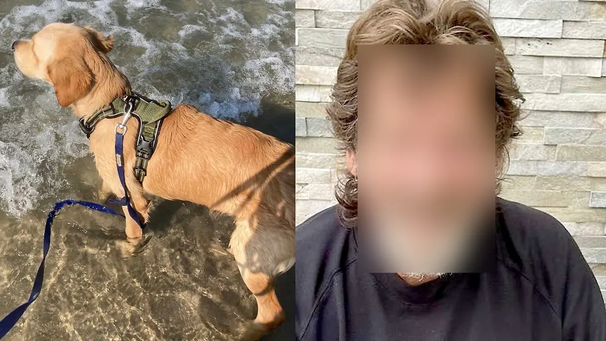 Die Polizei Viersen sucht nun nach Zeugenhinweisen.