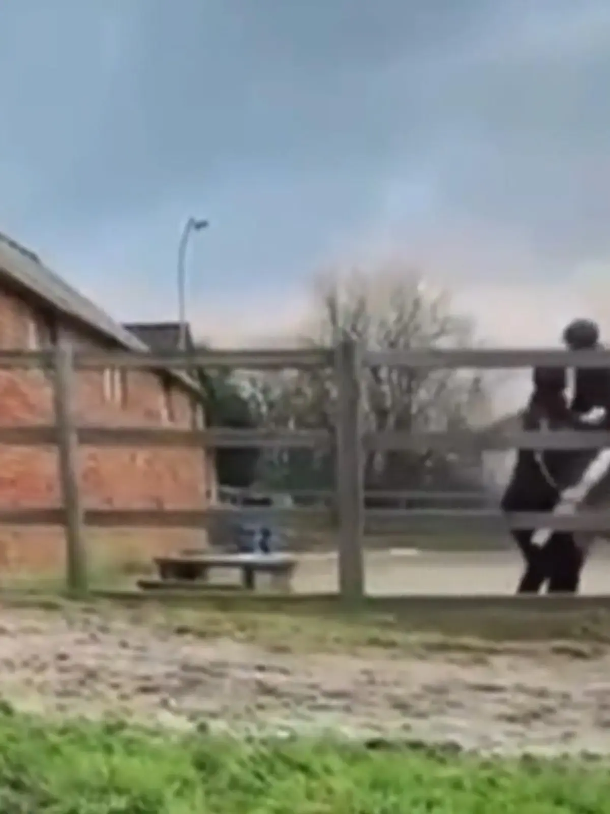 Aufnahmen aus Großbritannien gehen viral, weil eine Reitlehrerin offenbar ein Pferd mit einer Stange zum Vorwärtsgehen antreiben will - ist das Tierquälerei oder die "angenehmere" Alternative zum Gerten-Einsatz? Es ist eine heftige Debatte um dieses Video entbrannt.
