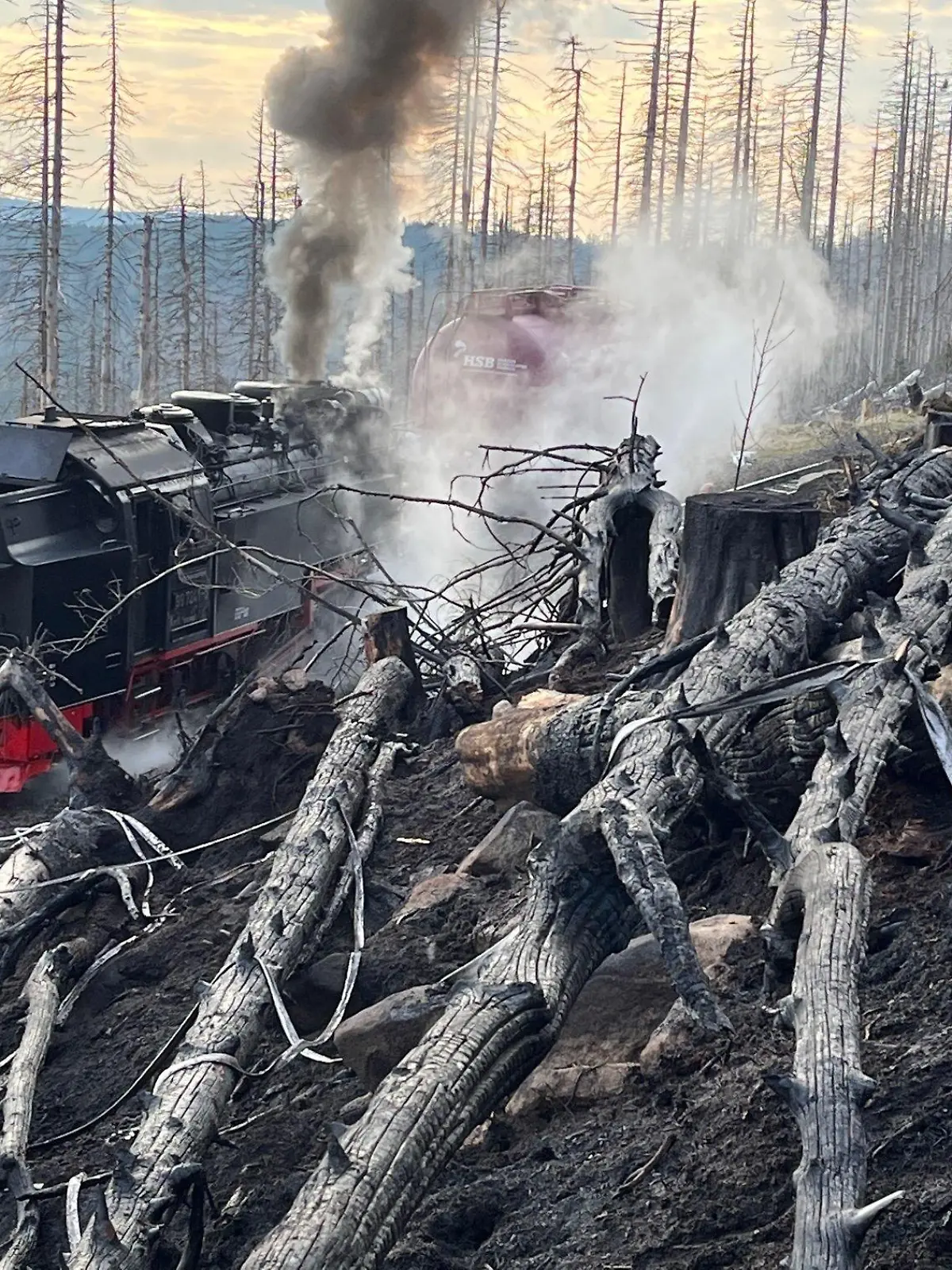 26.04.2022, Sachsen-Anhalt, Wernigerode: Rauch steigt aus einem abgebrannten Waldstück am Brocken auf, während eine Lok der Brockenbahn Rauch ausstößt. Auf der Ostseite des Harzes war ein Großfeuer ausgebrochen. Nach Angaben der Feuerwehr brannte es im Nationalpark zunächst auf einer Fläche von 3,5 Hektar. Das Gelände sei wegen der Hanglage für die Einsatzkräfte nur zu Fuß oder über die Brockenbahn erreichbar, sagte ein Feuerwehrsprecher aus Wernigerode. Foto: Matthias Bein/dpa +++ dpa-Bildfunk +++