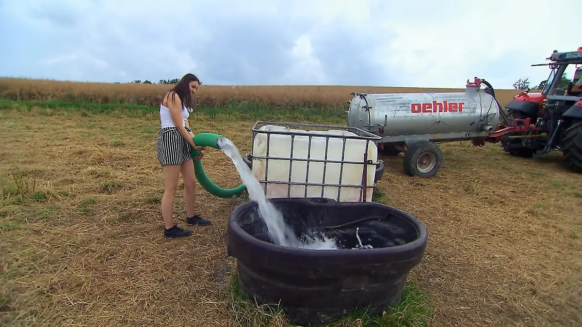 Wasser marsch!: Sarah wagt sich an den großen Schlauch für die Rinder