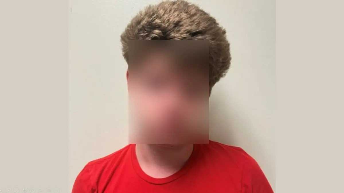 Ein Jugendlicher auf einem Polizeifoto. 