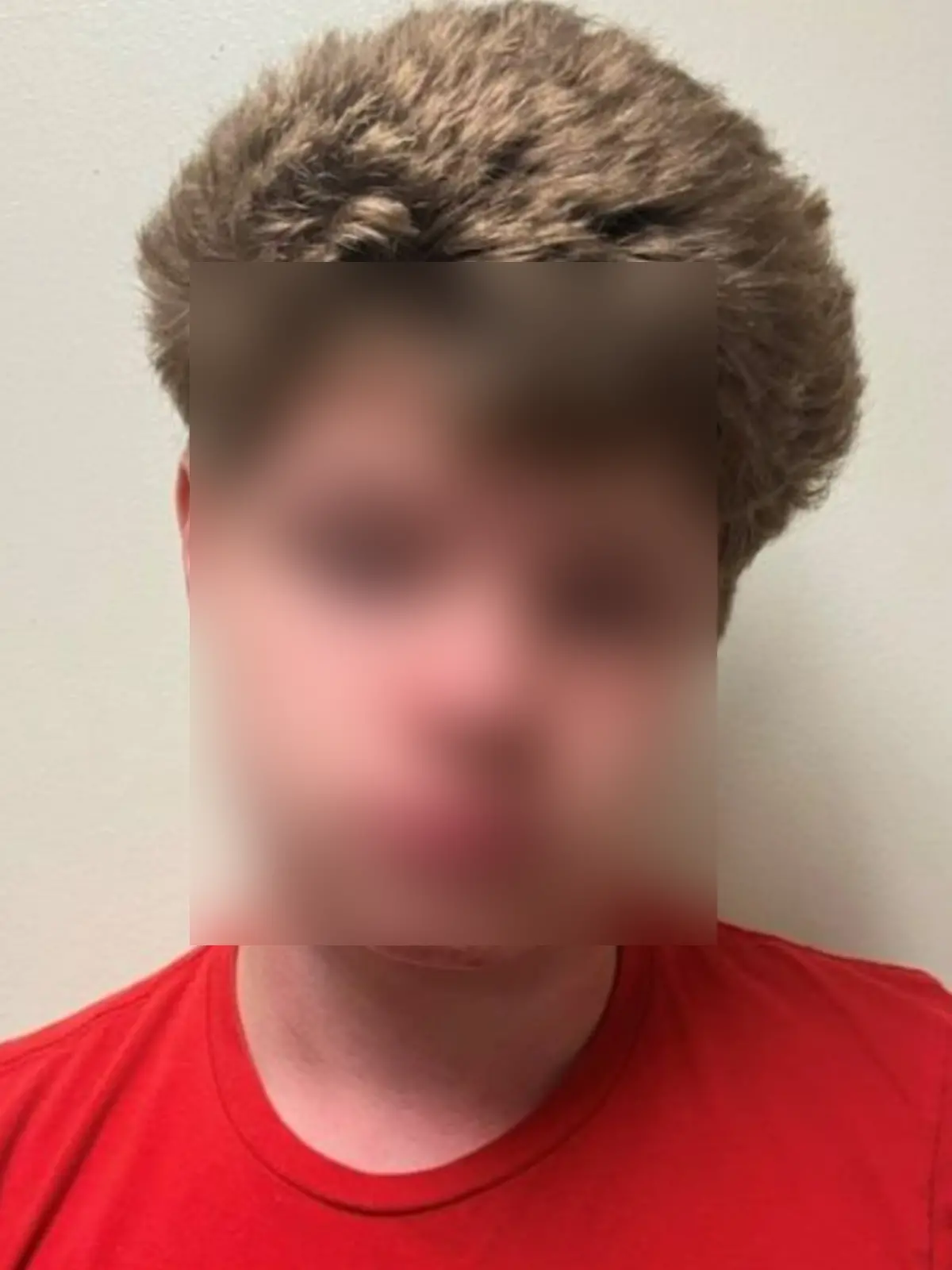 Ein Jugendlicher auf einem Polizeifoto. 