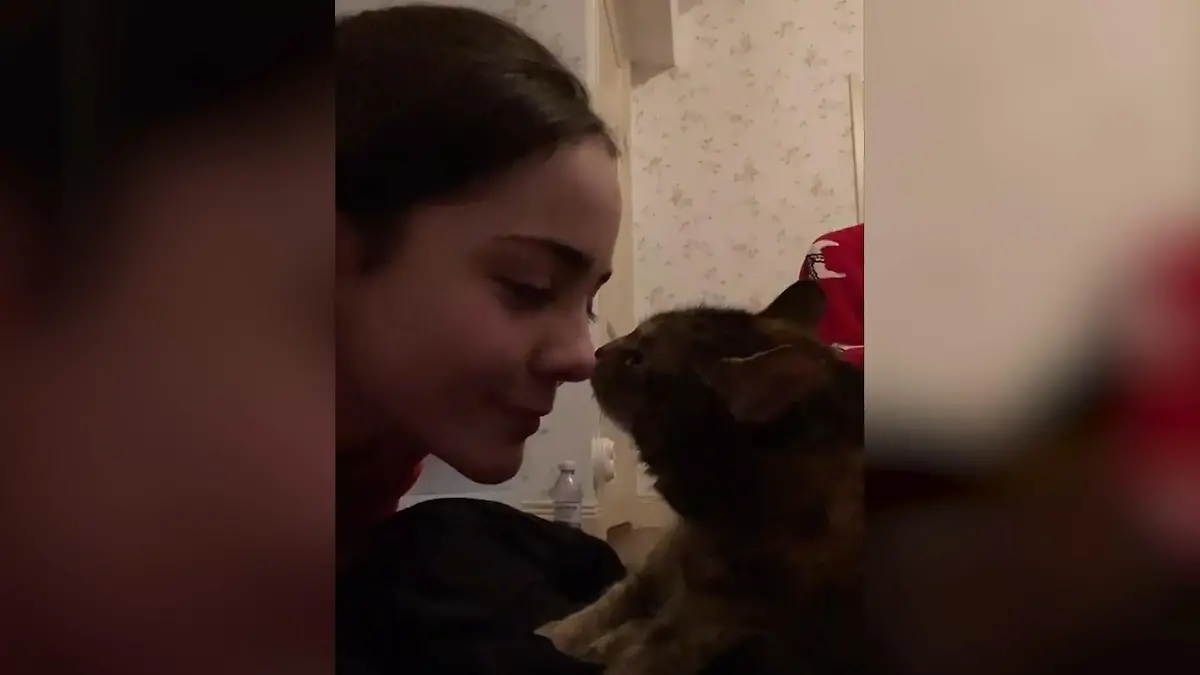 Seit ihrem vierten Lebensjahr war Katze Cookie immer an der Seite von Antonia.