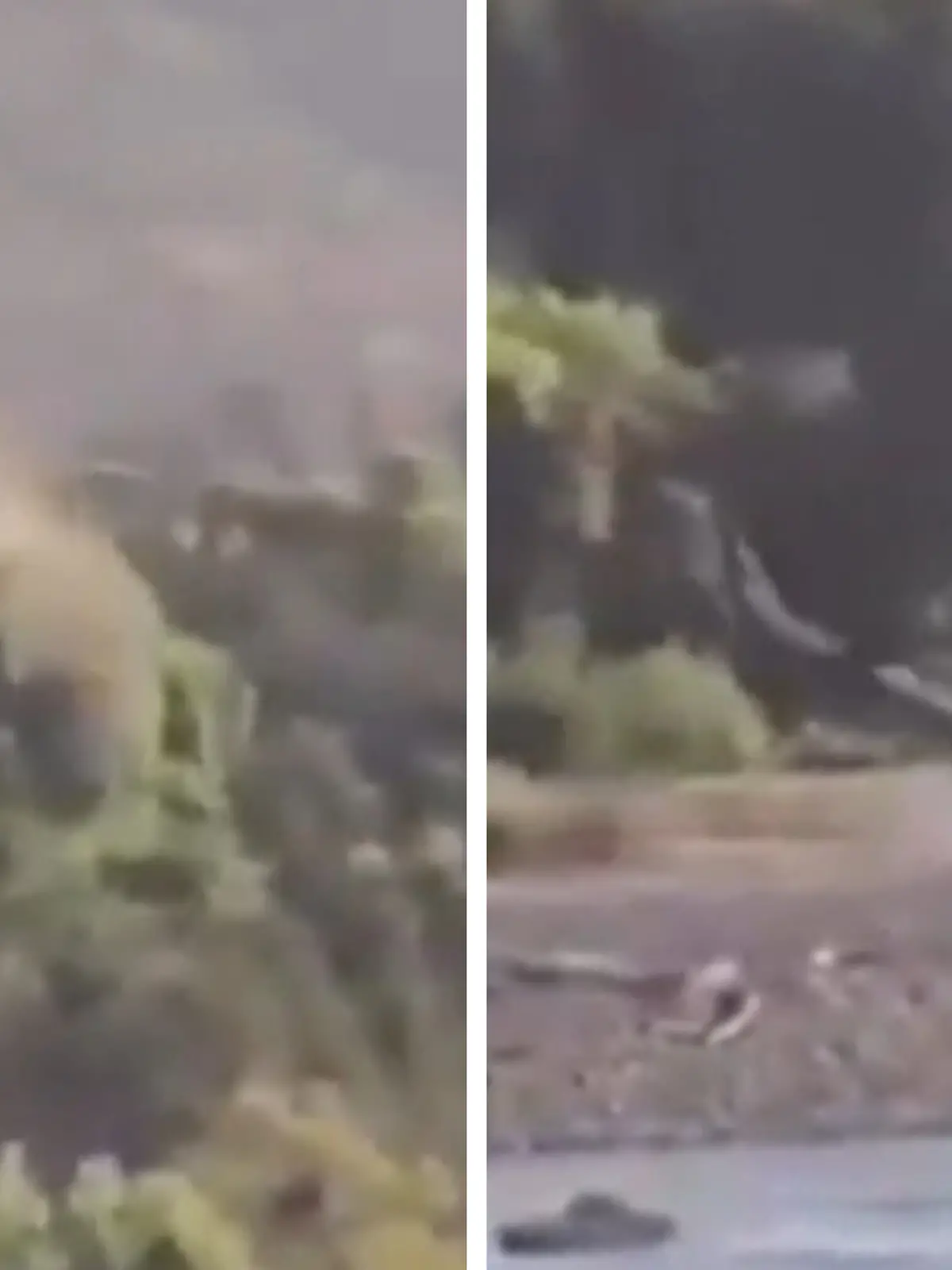 Chile: Der Pilot hat keine Chance und stürzt mit dem Helikopter ab.