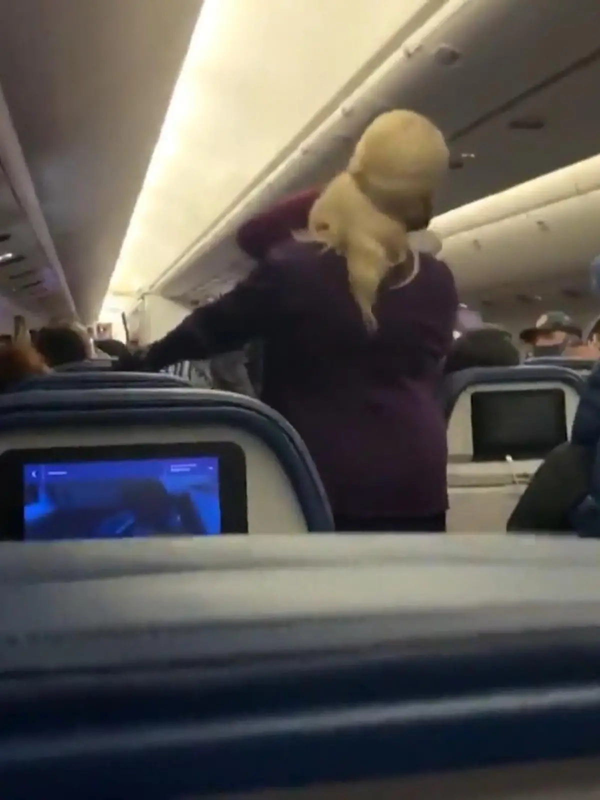 Ein Selbstverteidigungskurs für Flugbegleiter? In den USA braucht man den offensichtlich. Denn immer häufiger werden sie dort von genervten Passagieren körperlich angegriffen. Knapp 6.000 Mal im Jahr kommt das vor. Die Bilder zeigen wir im Video.