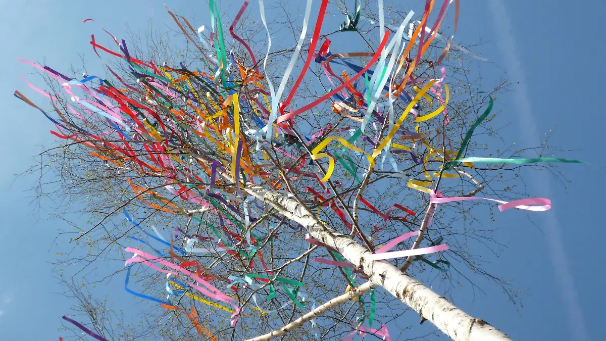 Mit bunten Bändern geschmückter Maibaum