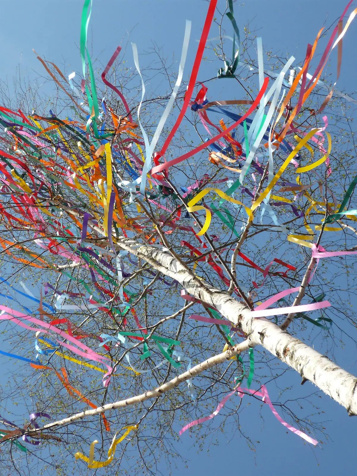 Mit bunten Bändern geschmückter Maibaum