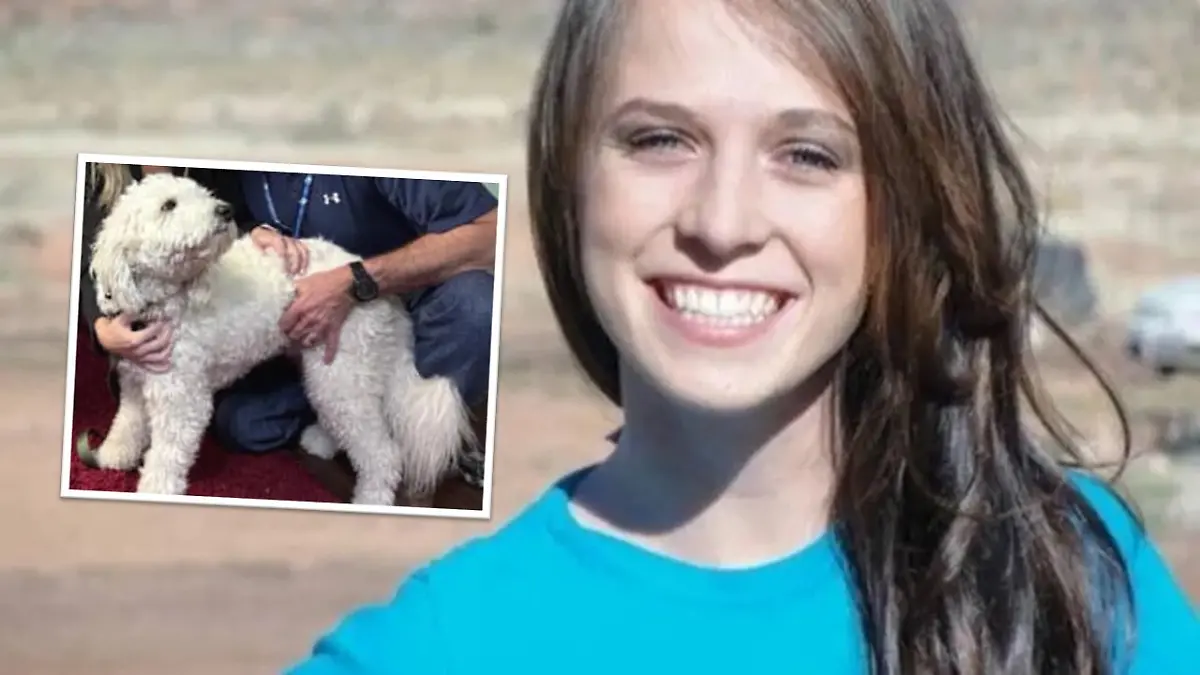 Hund Titan weicht nicht von der Seite seines Frauchens Mandy Rose Reynolds. Selbst, als die 26-Jährige bereits tot ist.