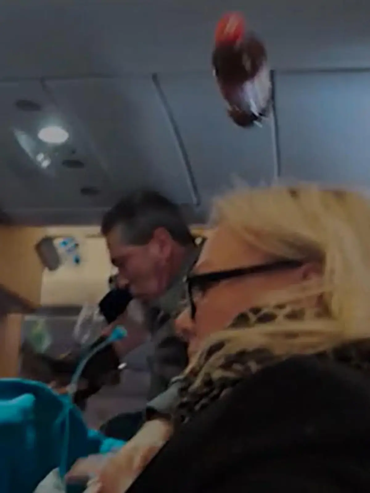 Bild zu: "Turbulenzen-Horror! Passagierin bis an Decke geschleudert "