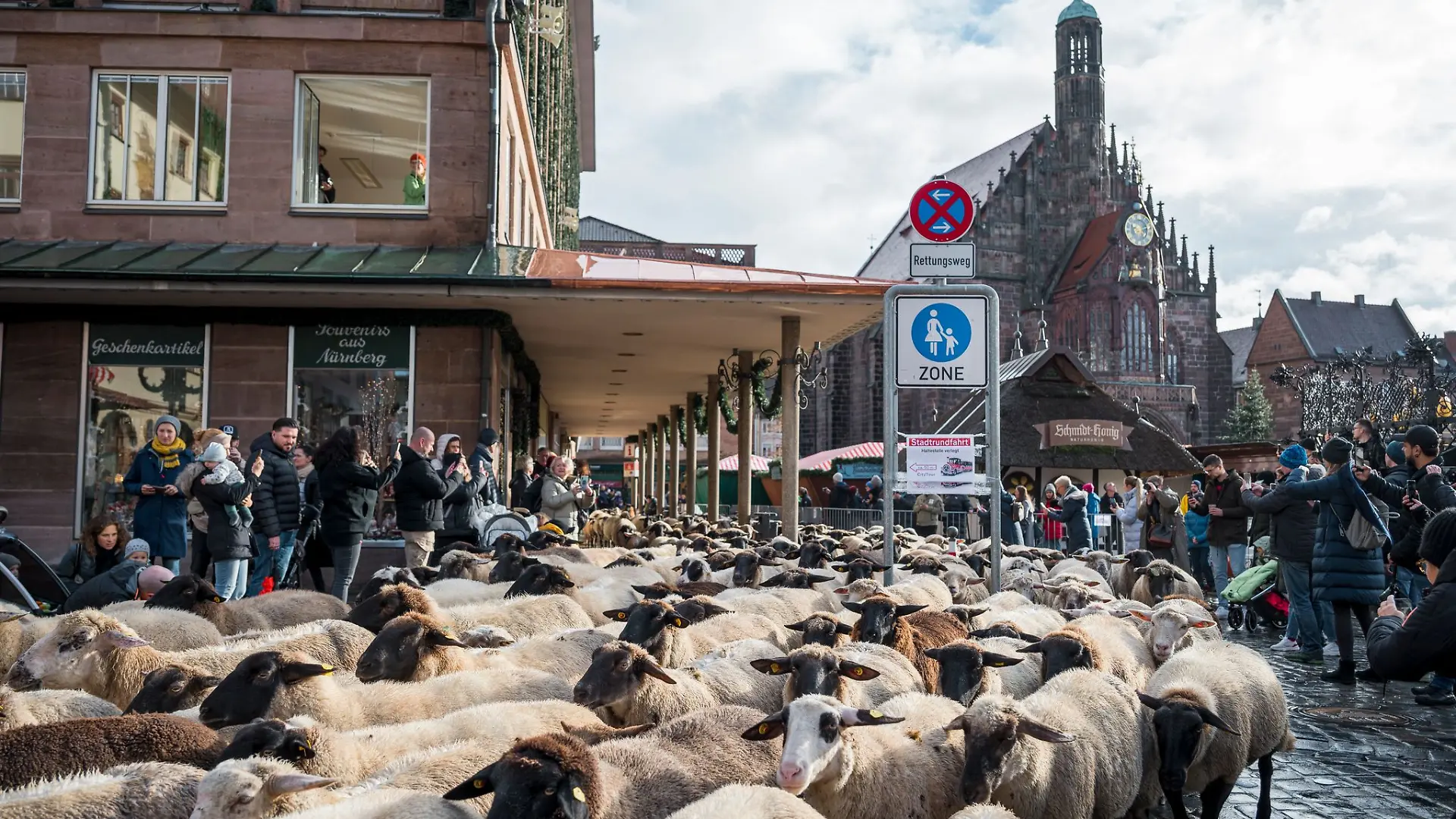 Der Schafzug durch die Innenstadt zieht mittlerweile viele Schaulustige an.