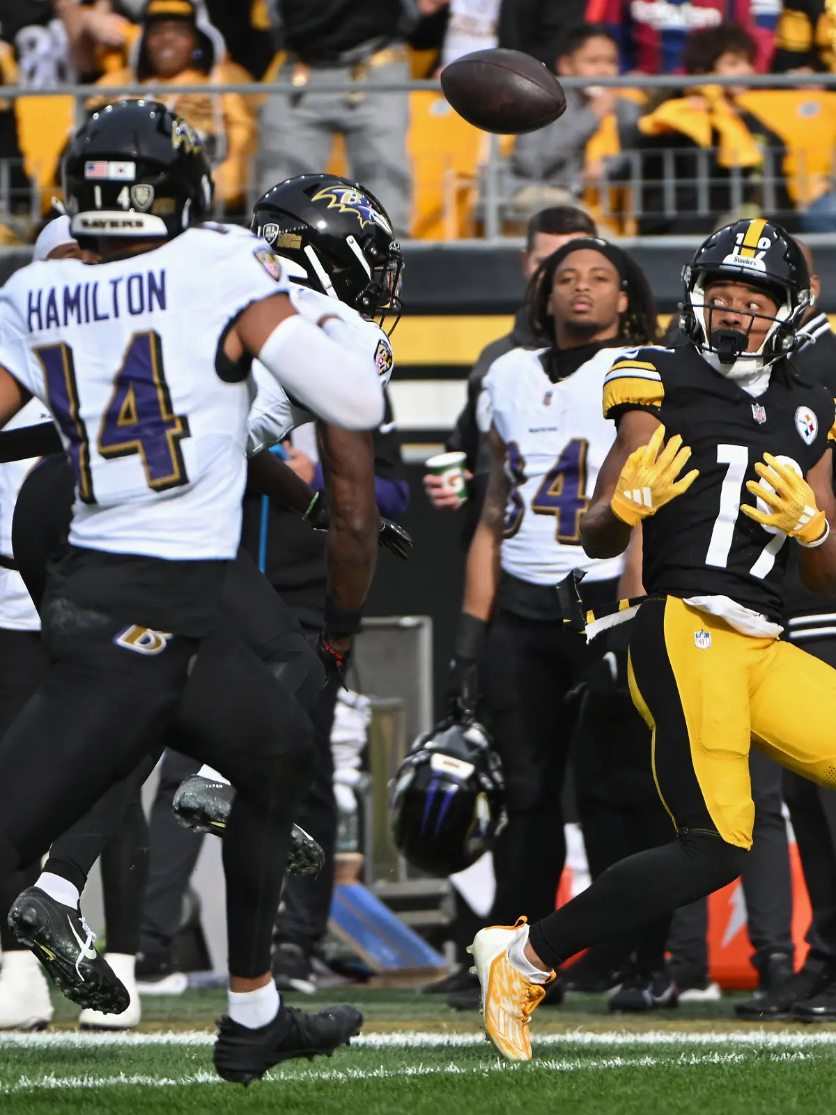 Bild zu: "Steelers-Kicker erledigt harmlose Ravens im Alleingang"