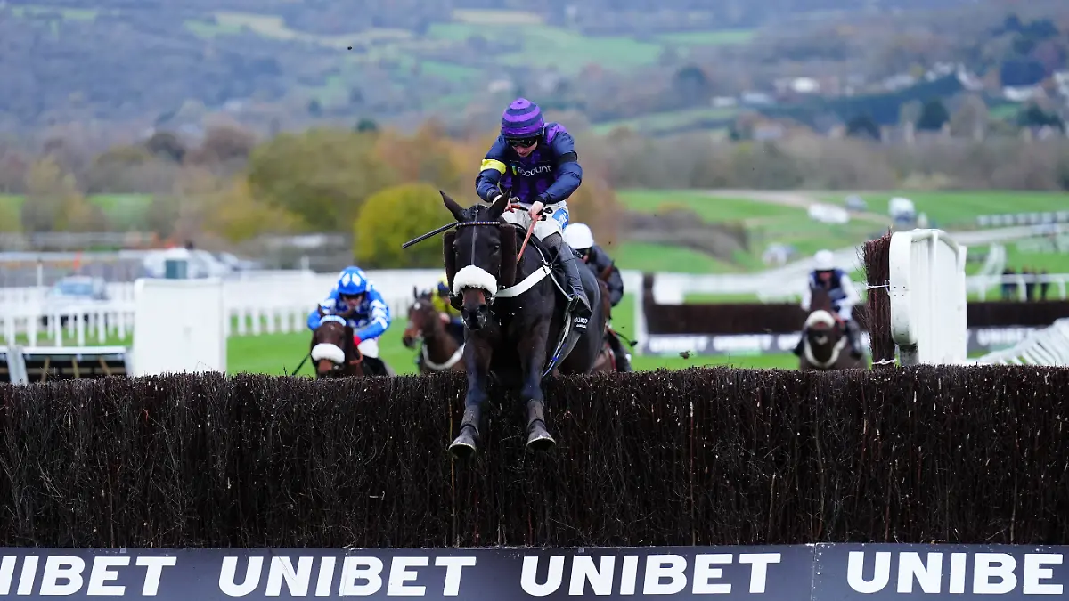Das Pferd Abuffalosoldier ist mit seinem Reiter Sean Bowen auf dem Weg zum Sieg. Wenig später ist es tot.