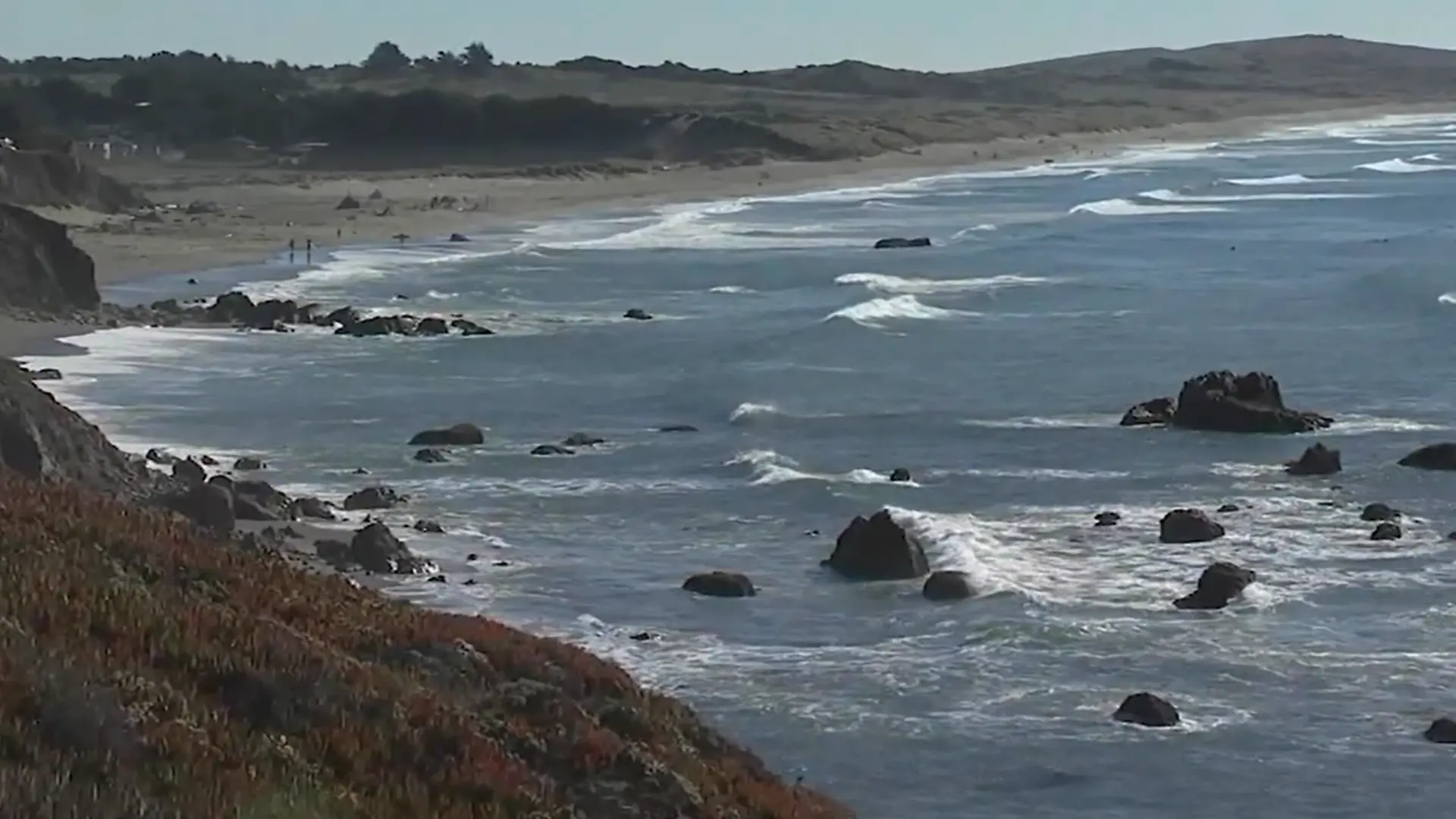 Die Küste der Bodega Bay. 